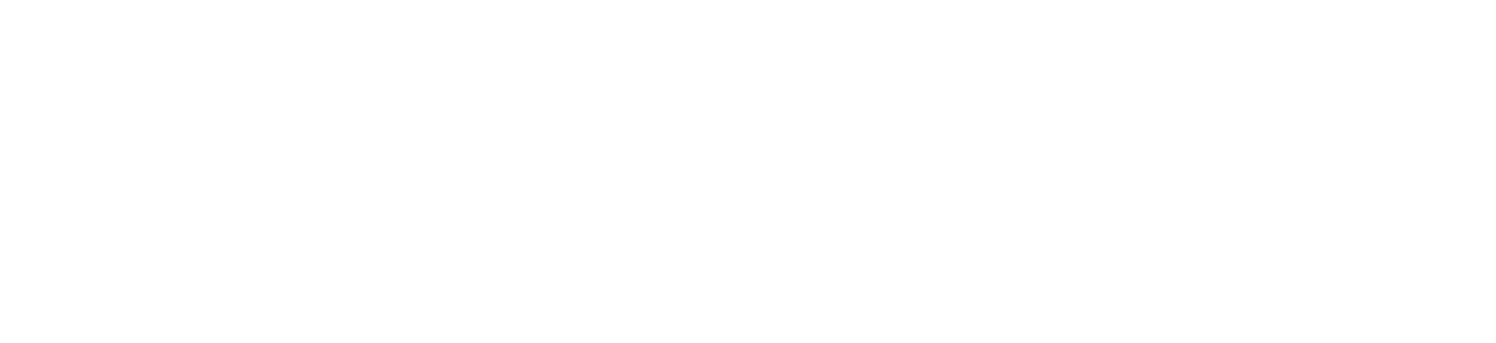 LIV PALADINO - COPYWRITER &amp; DESIGNER