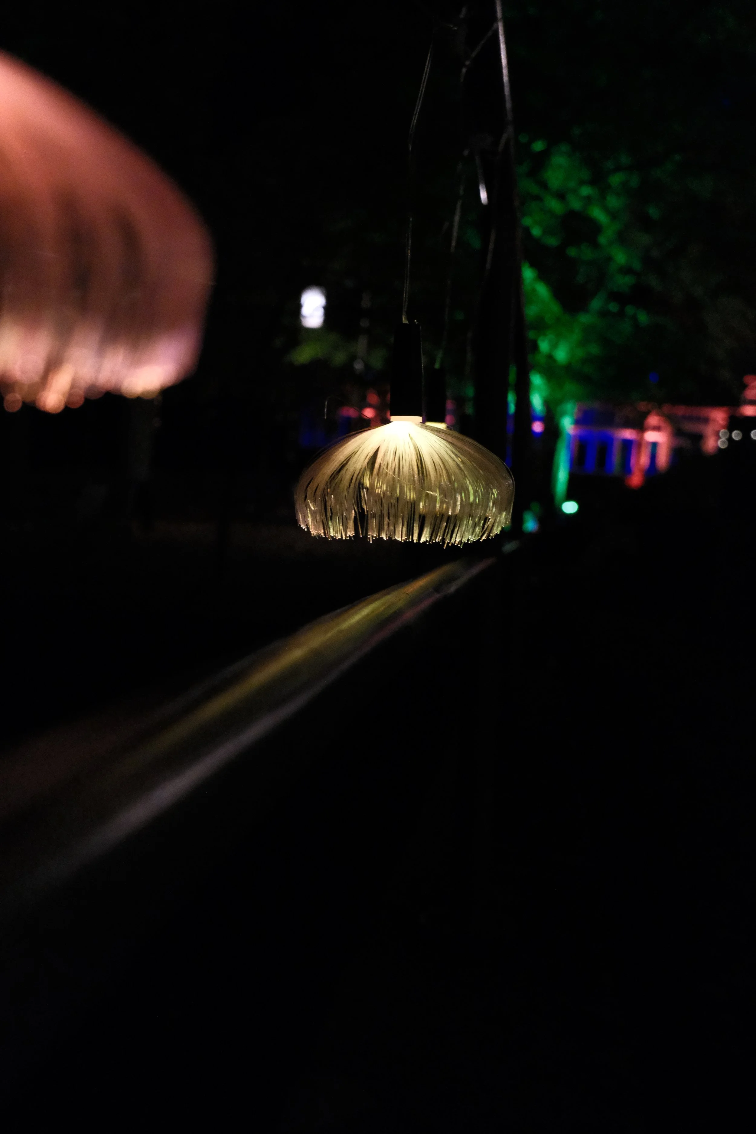 DSCF6259.JPG
