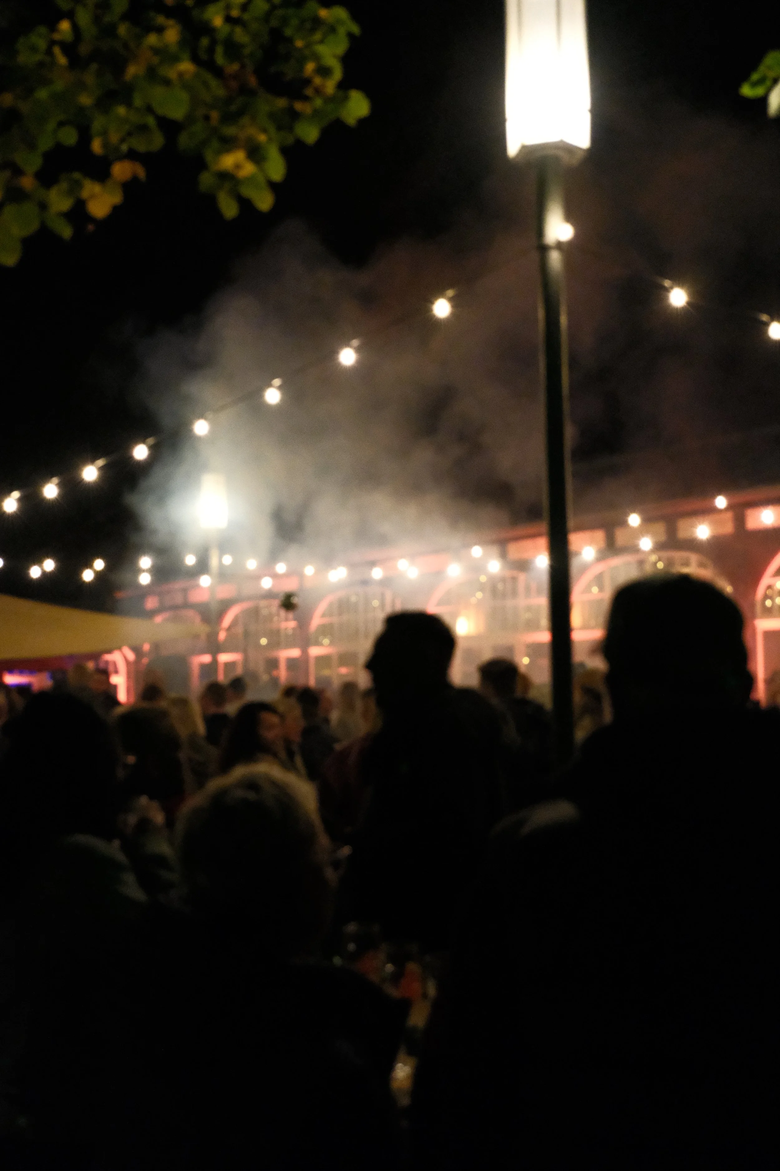 DSCF6250.JPG