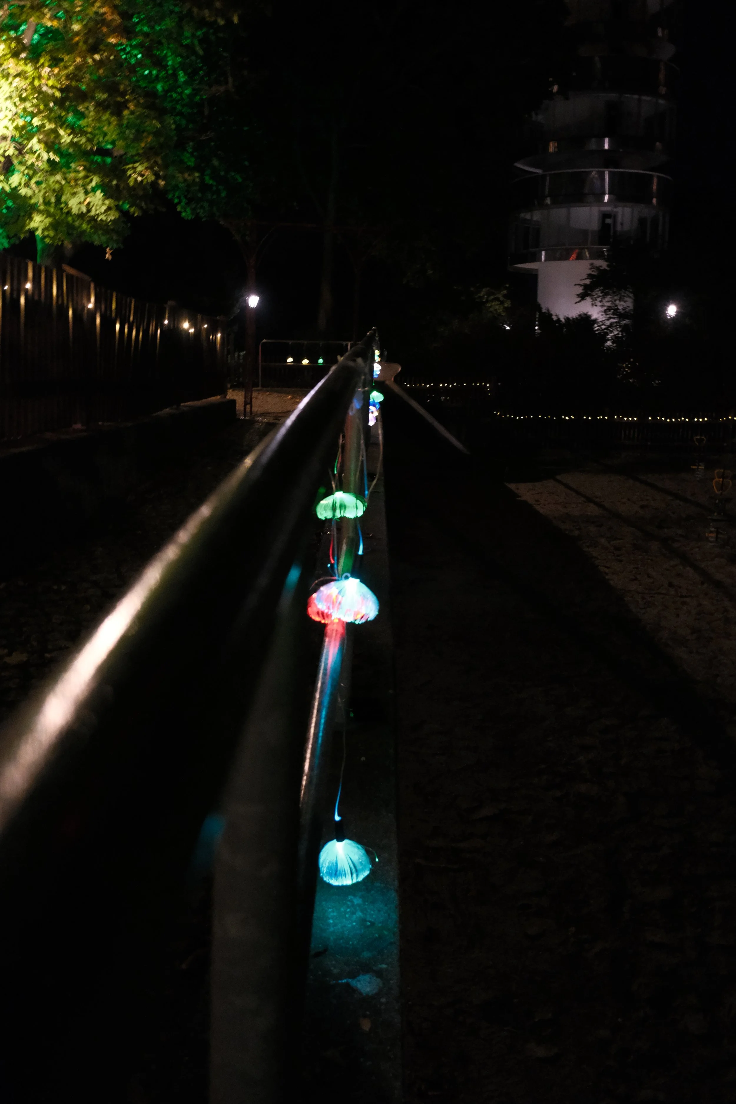 DSCF6274.JPG
