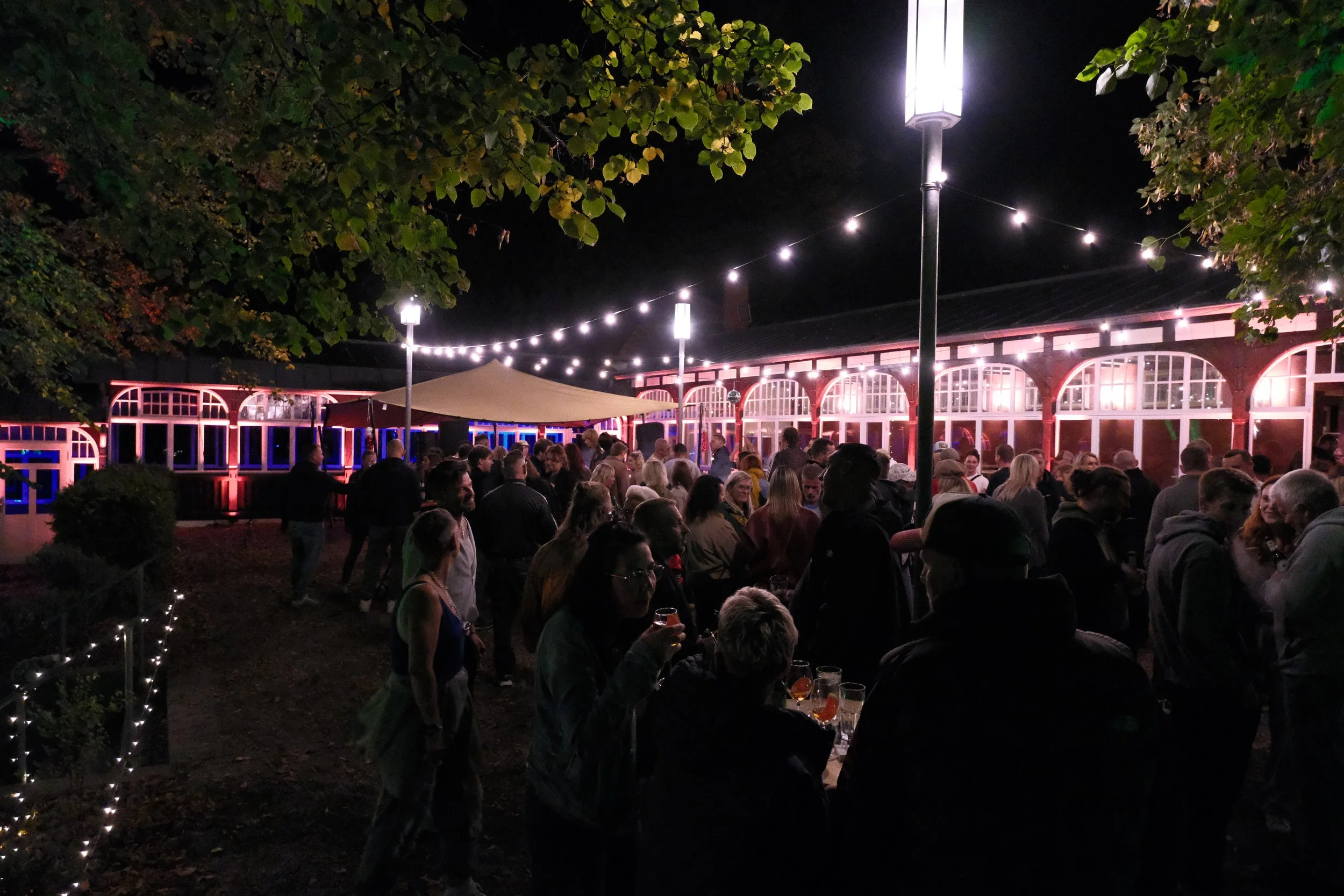 DSCF6248.JPG