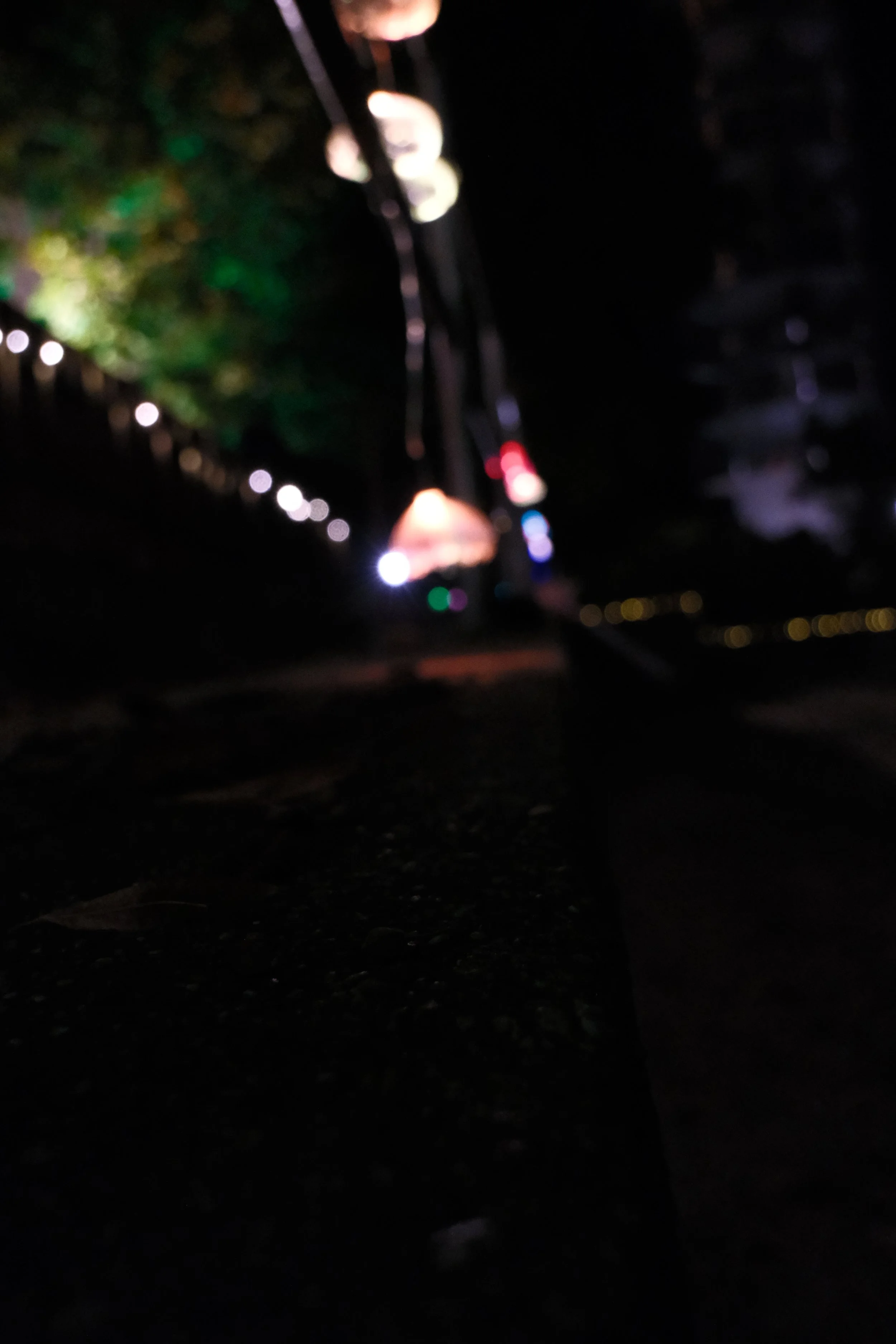 DSCF6275.JPG