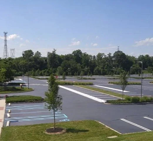 Empty parking lot with marked parking spaces, a few small trees, and a wooded area in the background under a partly cloudy blue sky.