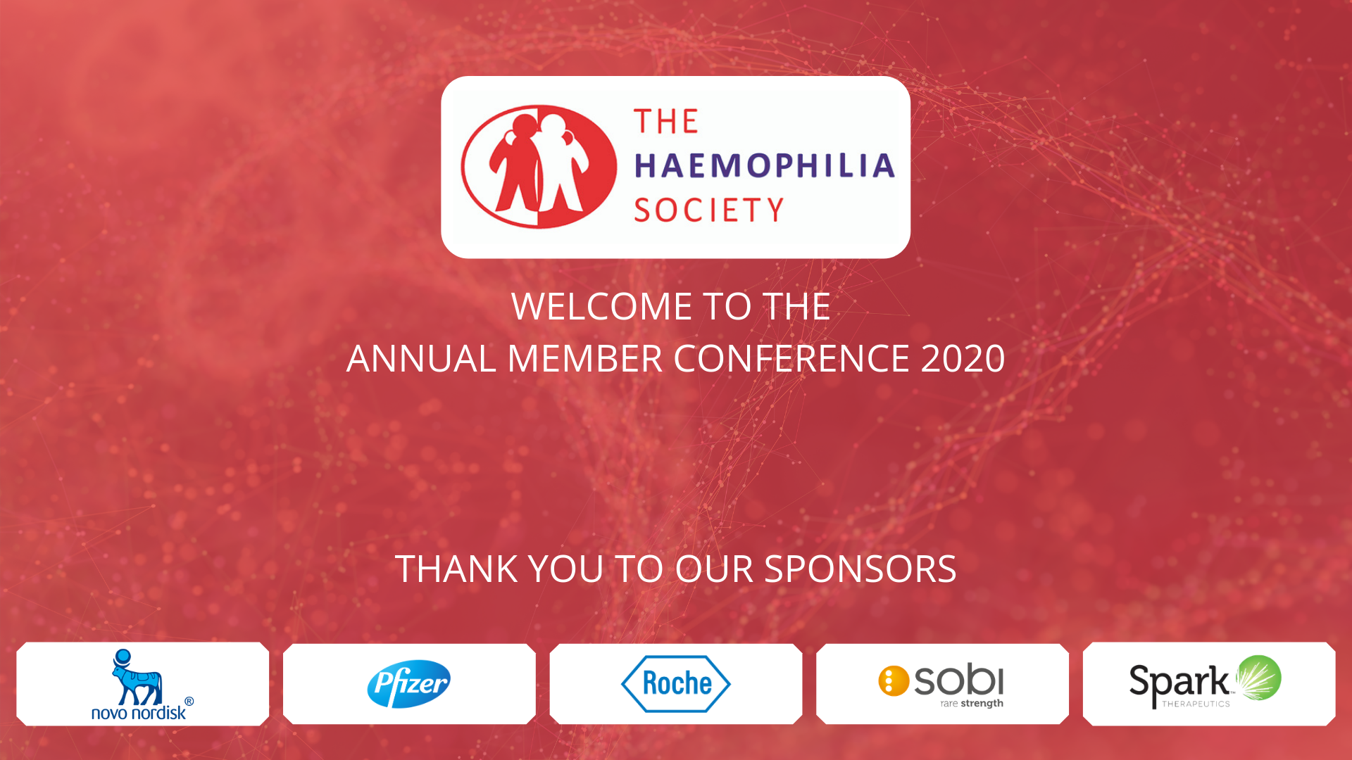 The Haemophilia Society’s Annual Members Conference 2020