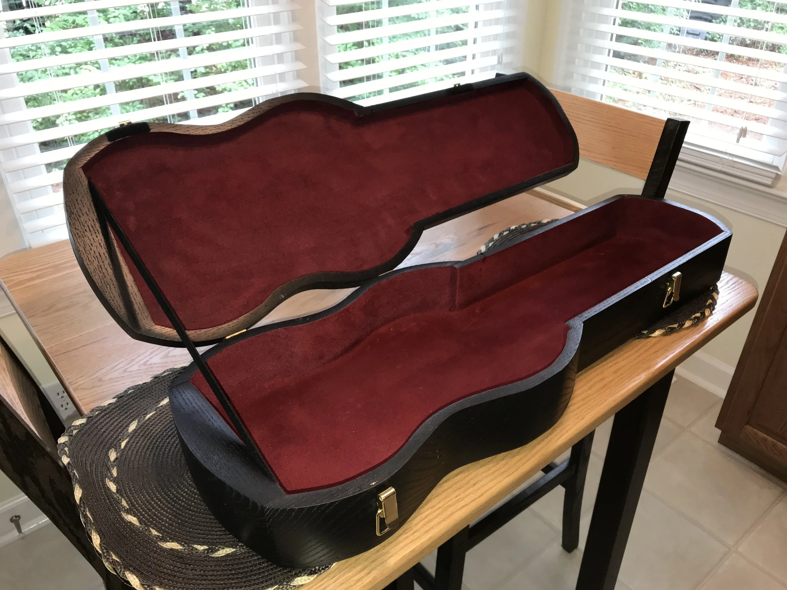Violin Case Game Carrier