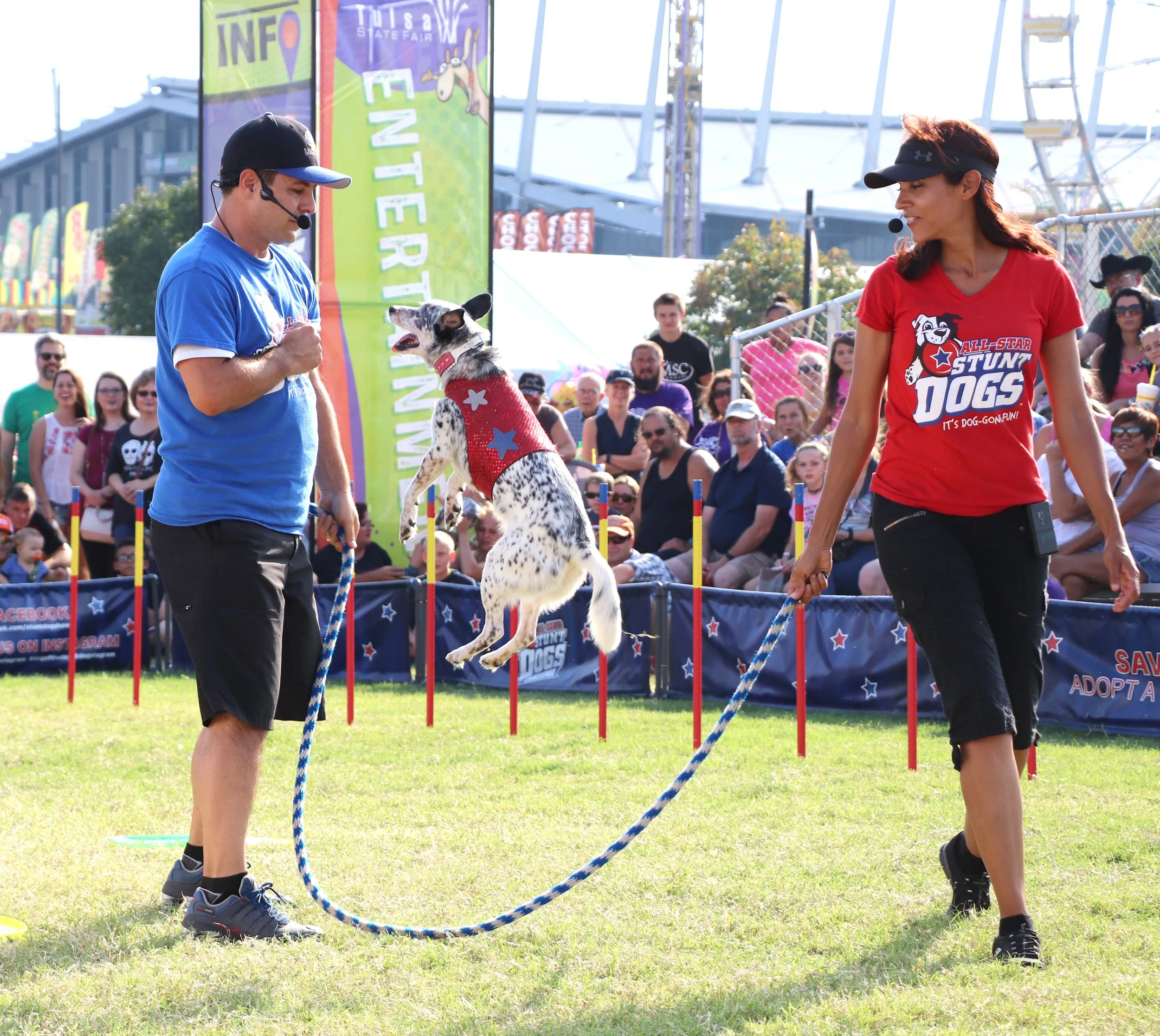 A dog jumps over an obstacle during a dog stunt show at a fair, with a handler and trainer watching, and an audience seated in the background.