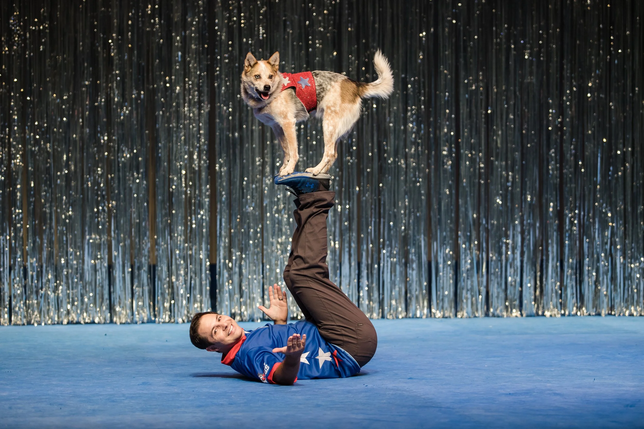 A man lying on the floor with his legs raised, balancing a dog on his feet. The man is smiling and waving, wearing a blue shirt with stars. The dog, wearing a red vest, is standing on the man's feet against a backdrop of silver tinsel.