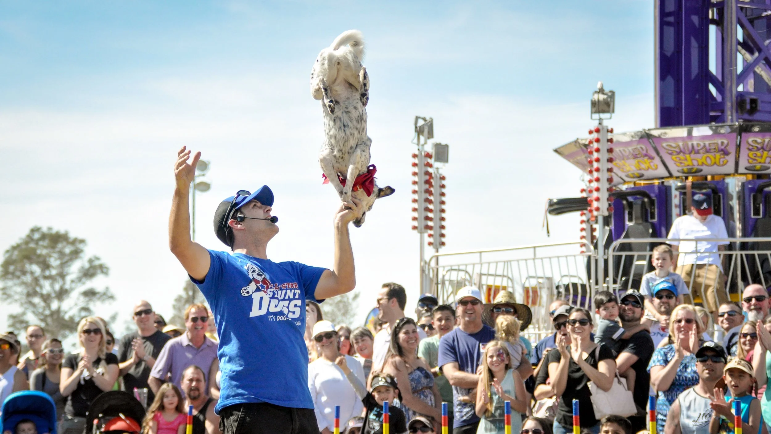 A dog performer balancing on a person's hand during a carnival or fair with a crowd watching, up and rides in the background.