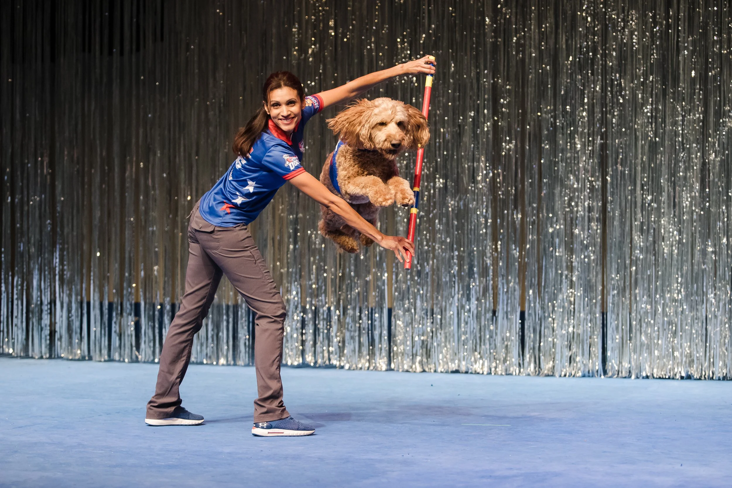 A woman in a blue shirt and gray pants performs a dog agility trick with a brown poodle on a stage with a metallic curtain background.