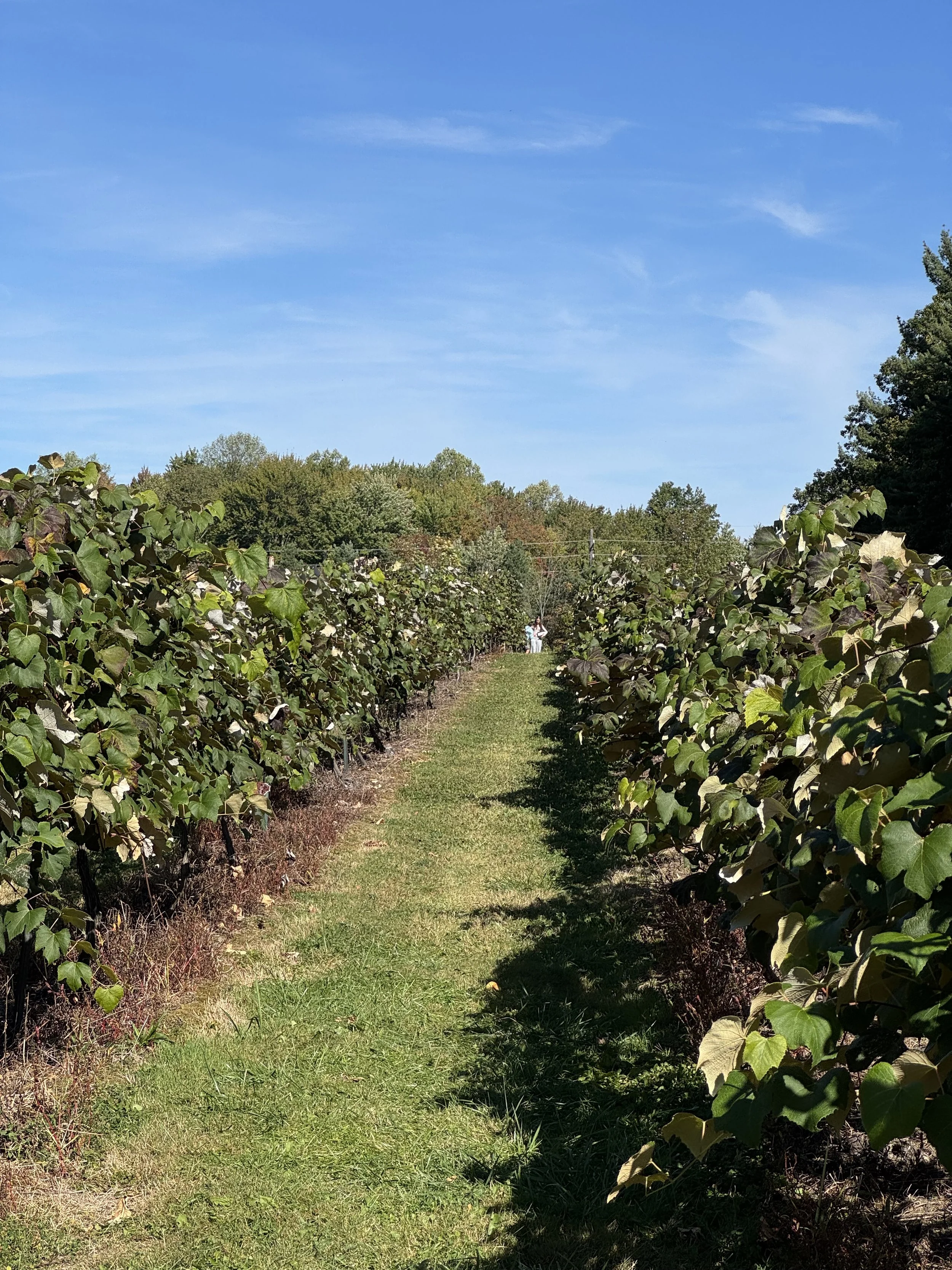 Personal - Sharing the load