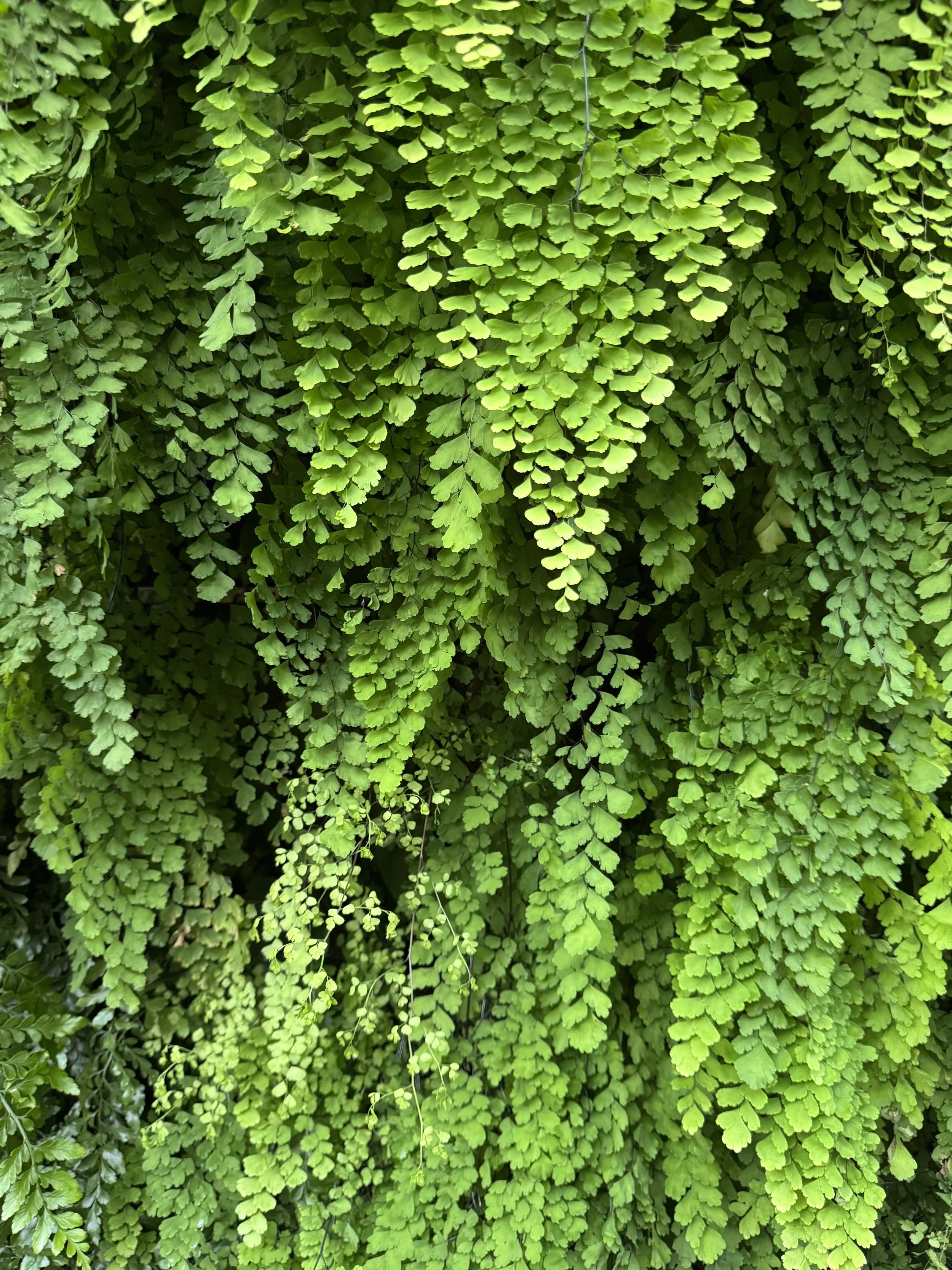 Projects - Lending a hand