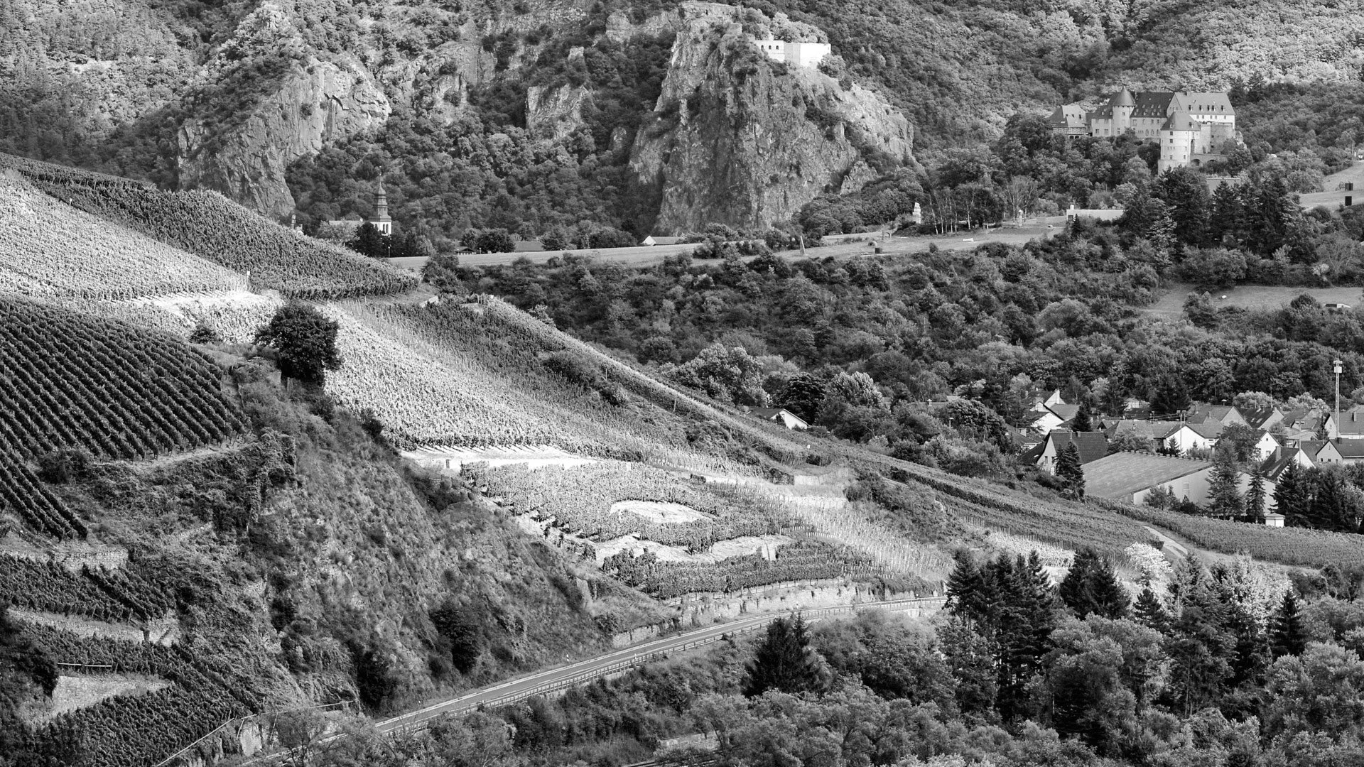 Meisenheimer_Hof_Kochhaus_Dellchen_Weinberg.jpeg