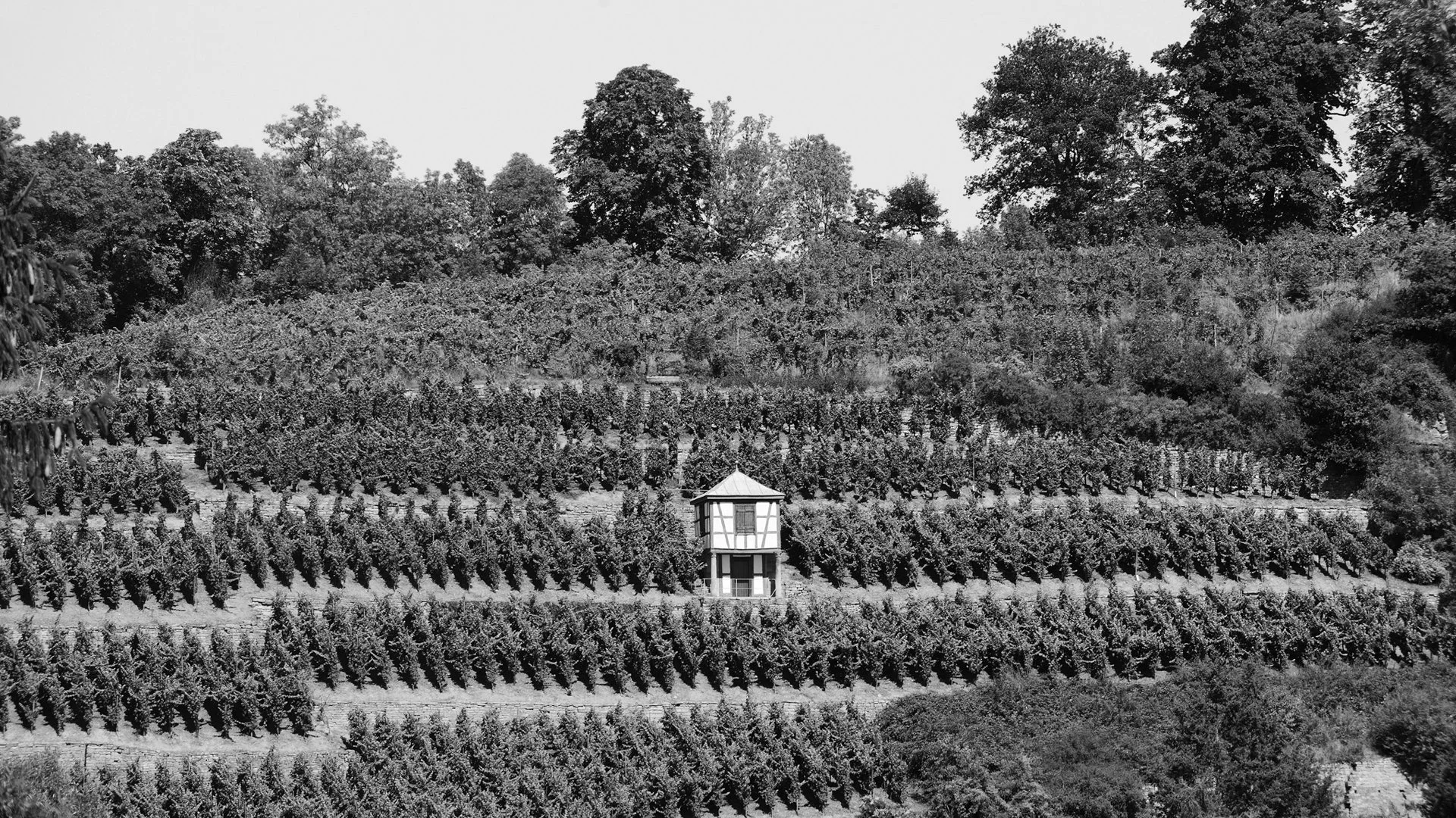 Klassik_Disibodenberg.jpg