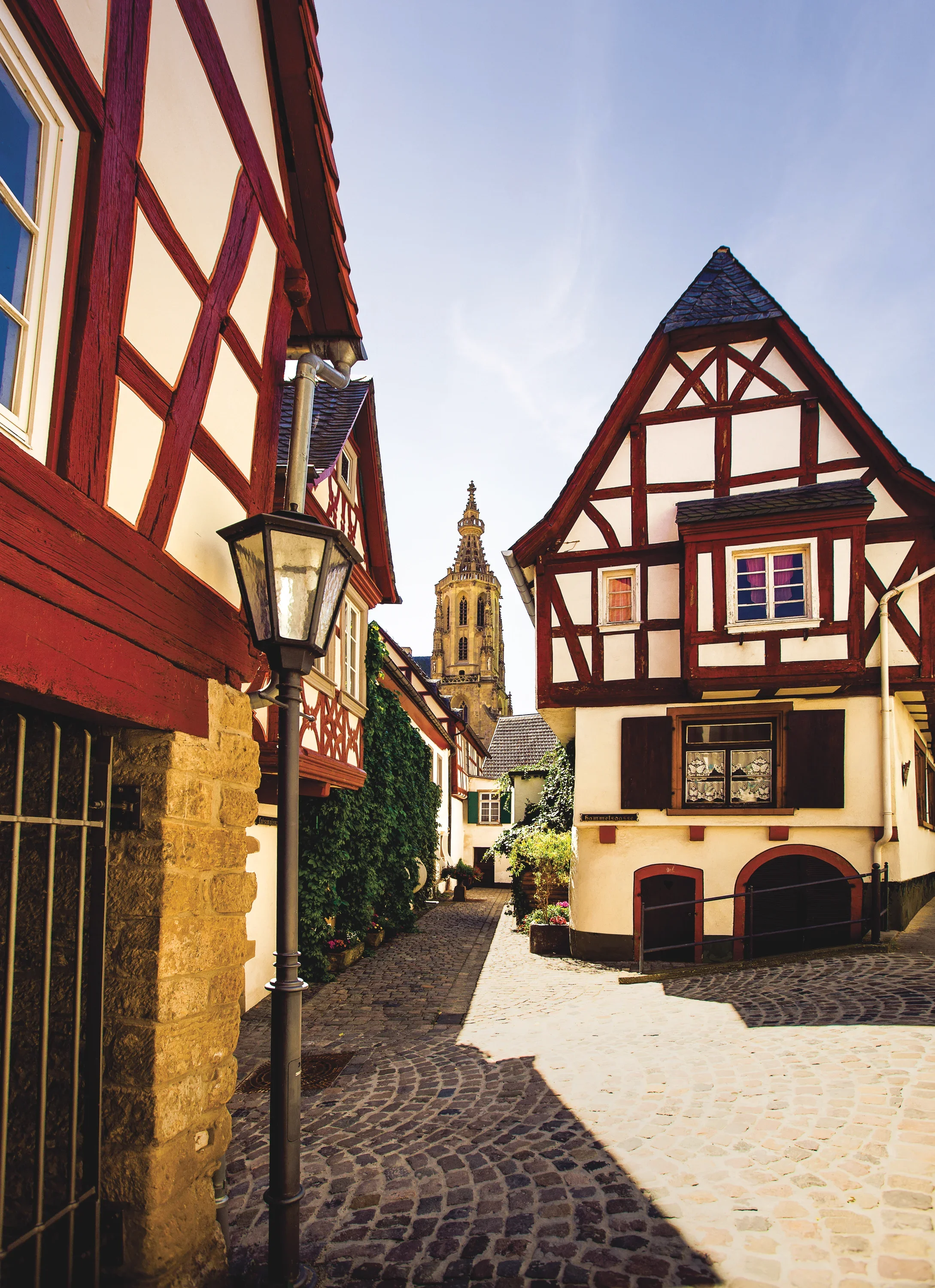 IMG_4460-MH_Schlosskirche-Ritterherberge-r_CMYK-preview.webp