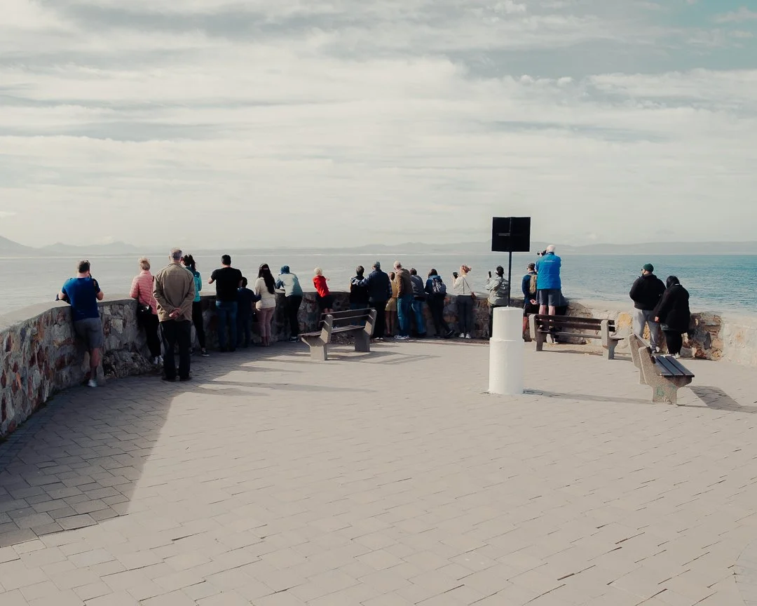 SOUTH AFRICA - @timnicolashopf-30.jpg