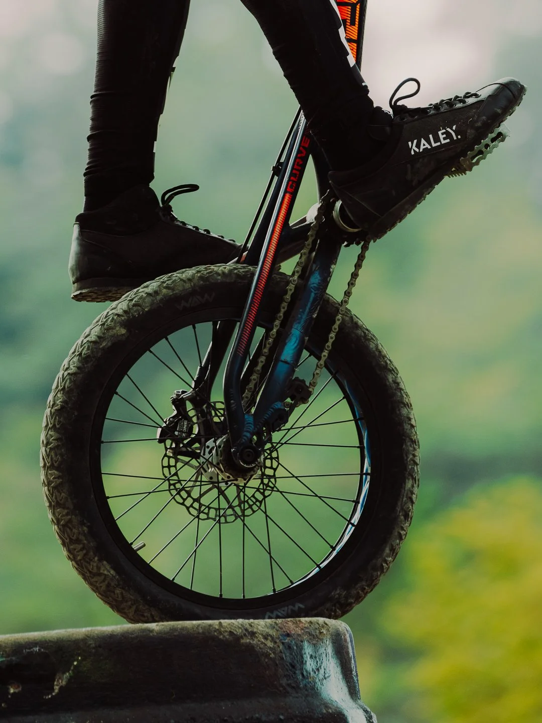 FUJIFILM WORKSHOP - @timnicolashopf-2.jpg