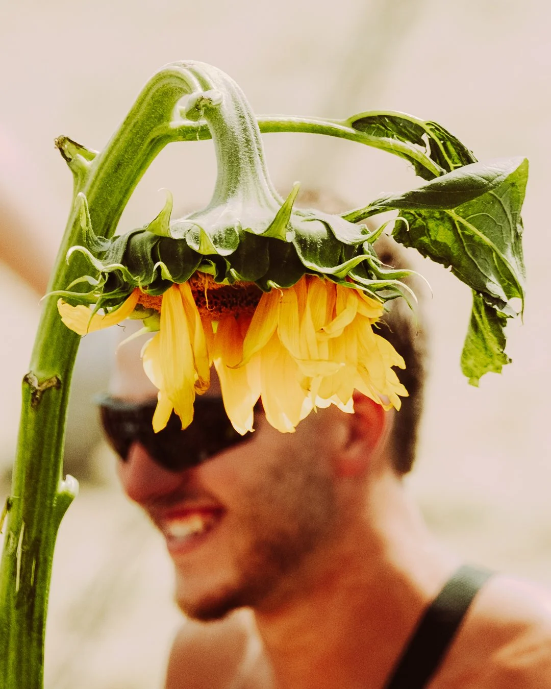 DOUR FESTIVAL 2025 - @timnicolashopf-4.jpg