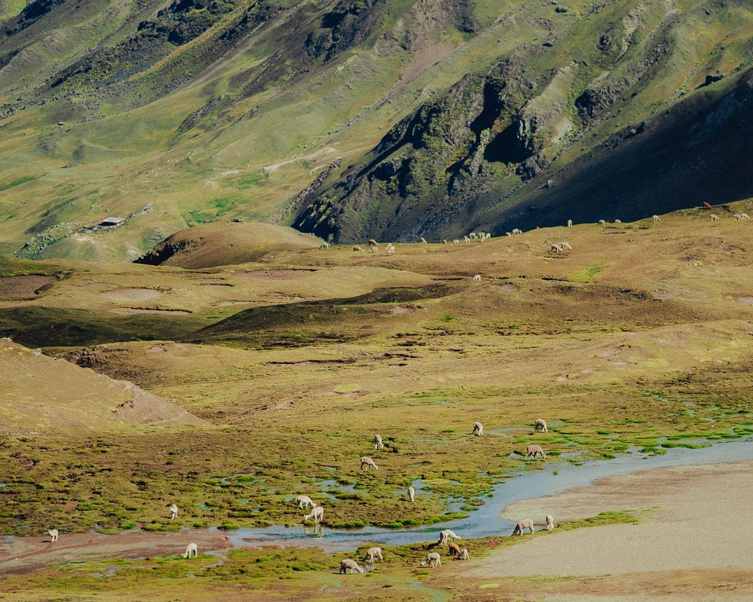 PERU - @timnicolashopf-36.jpg