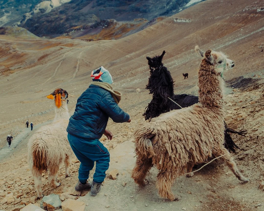 PERU - @timnicolashopf-38.jpg