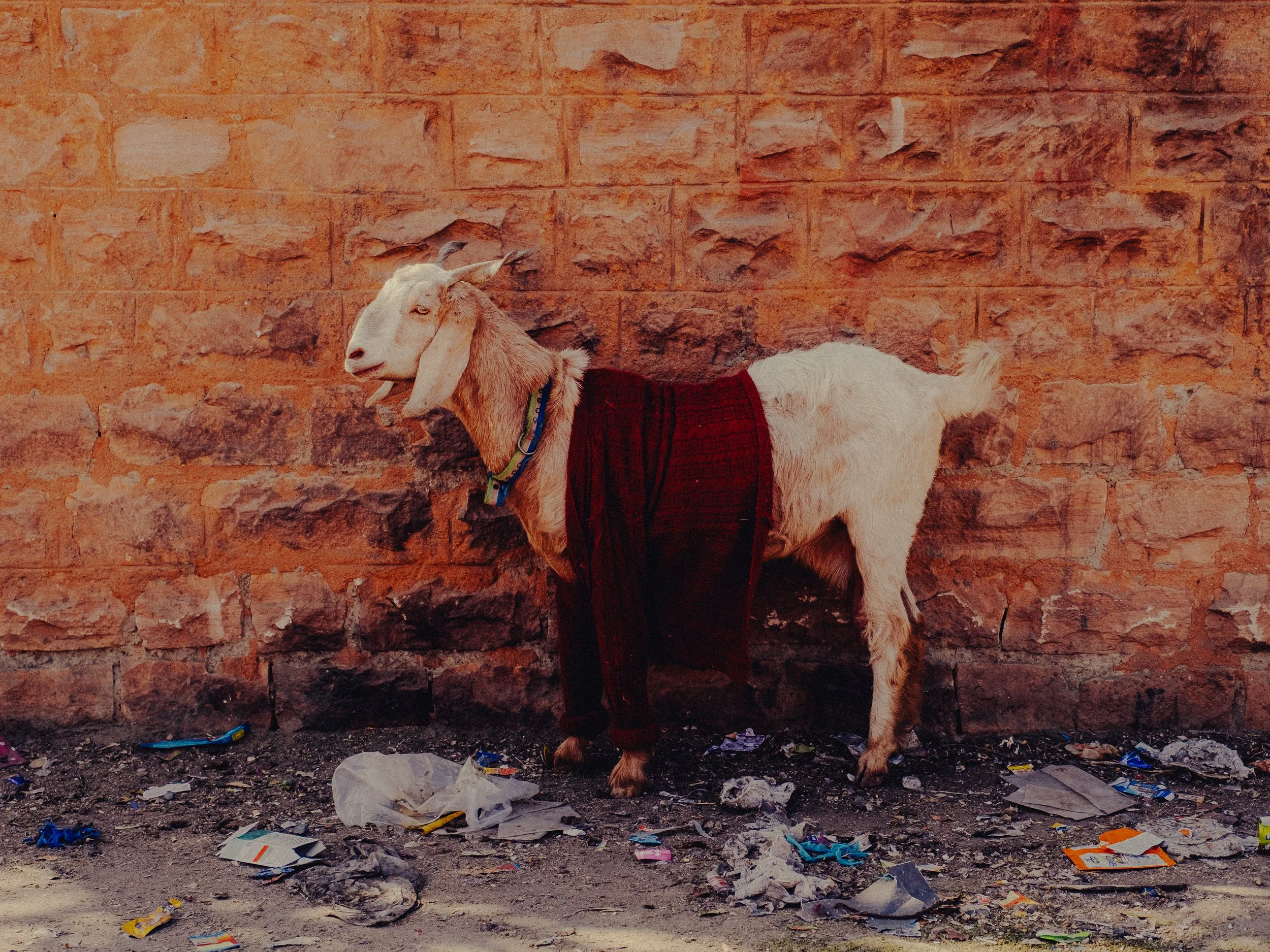DHABA - @timnicolashopf-35.jpg