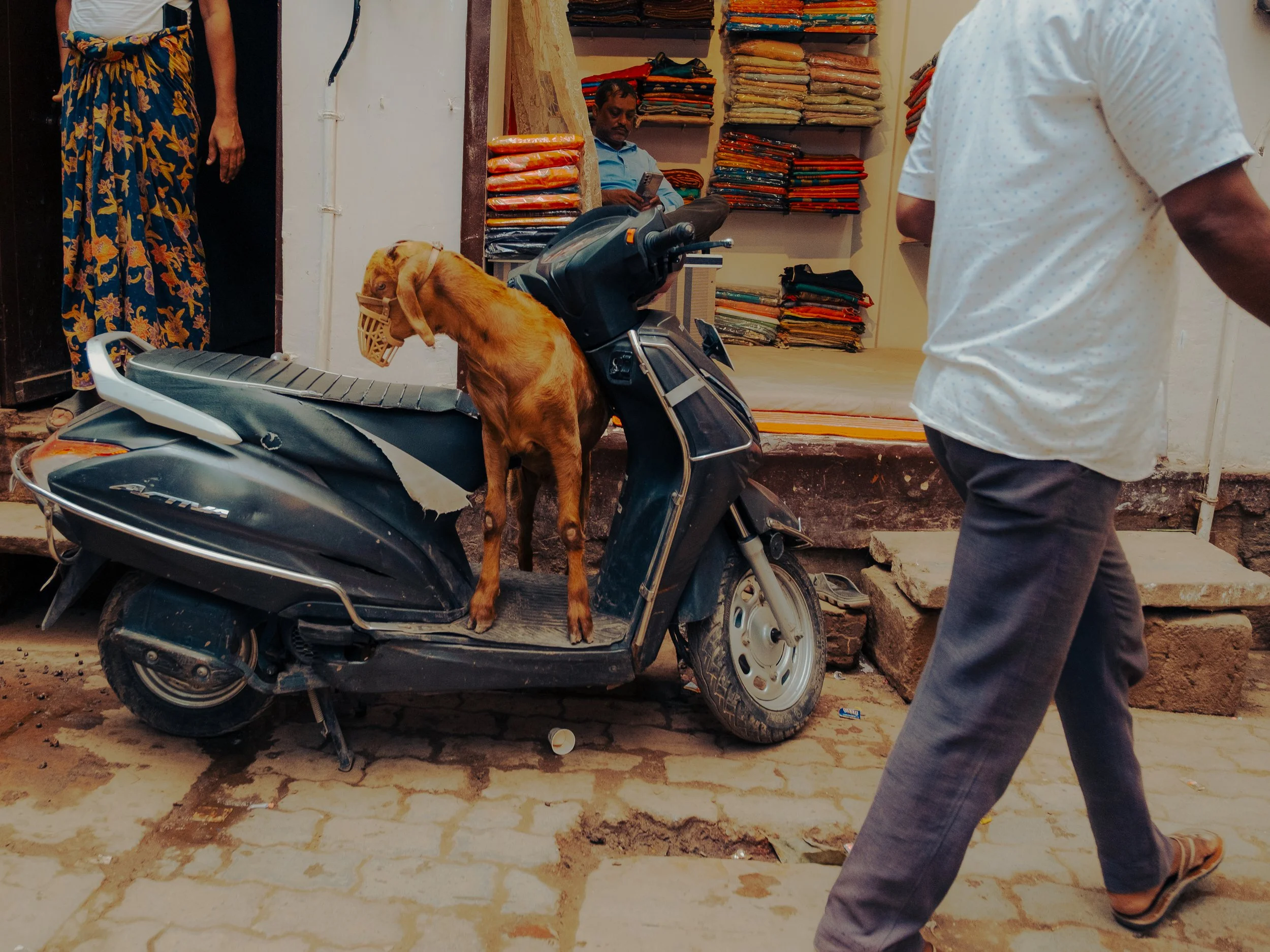 DHABA - @timnicolashopf-13.jpg