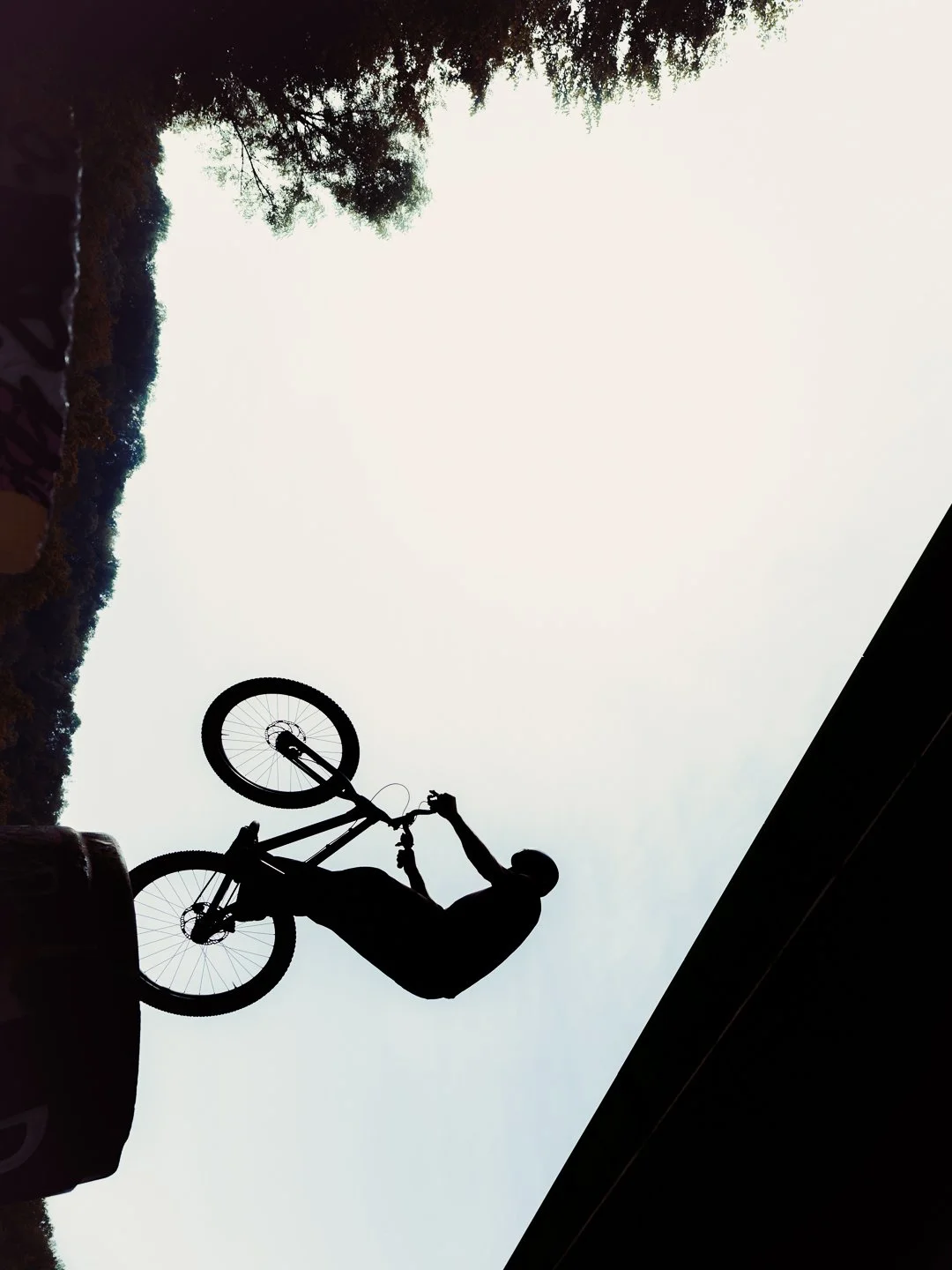 FUJIFILM WORKSHOP - @timnicolashopf-4.jpg