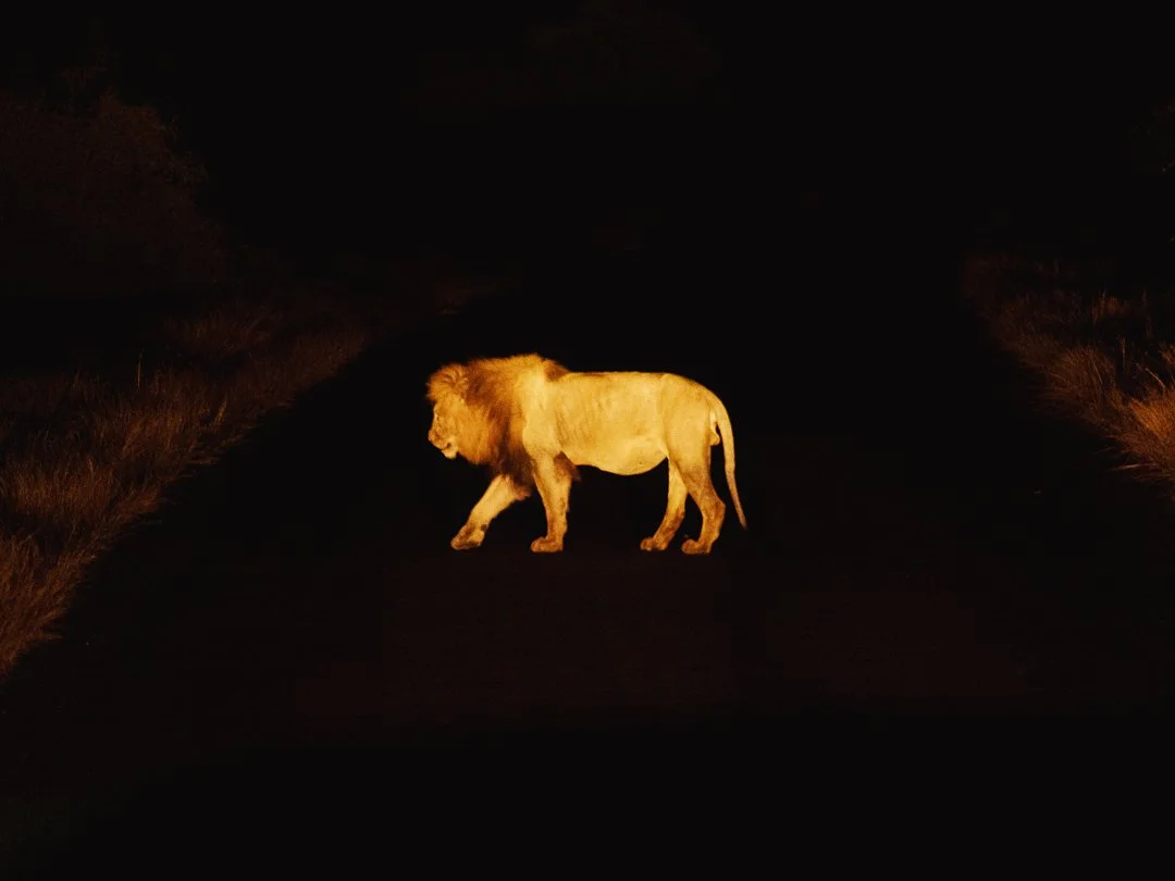 SOUTH AFRICA - @timnicolashopf-11.jpg