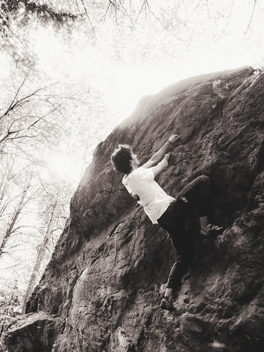 LOOKING FOR WILD - @timnicolashopf-18.jpg