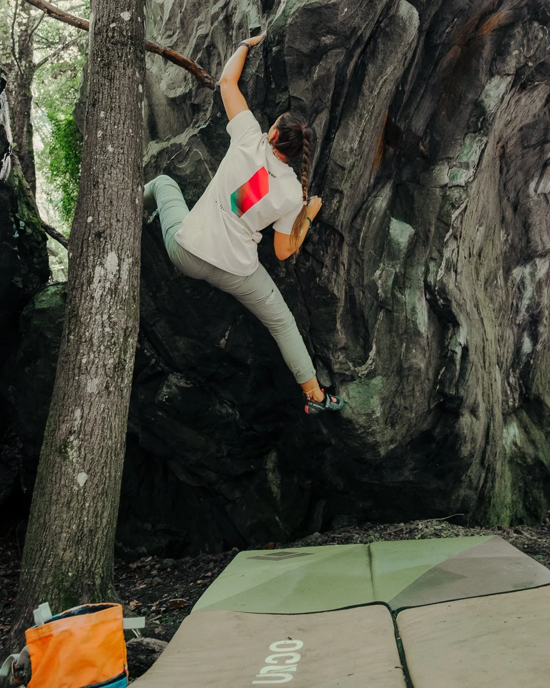 LOOKING FOR WILD - @timnicolashopf-6.jpg