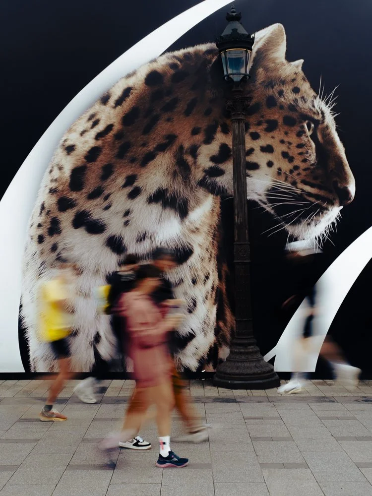 PARIS MARATHON 2026.jpg