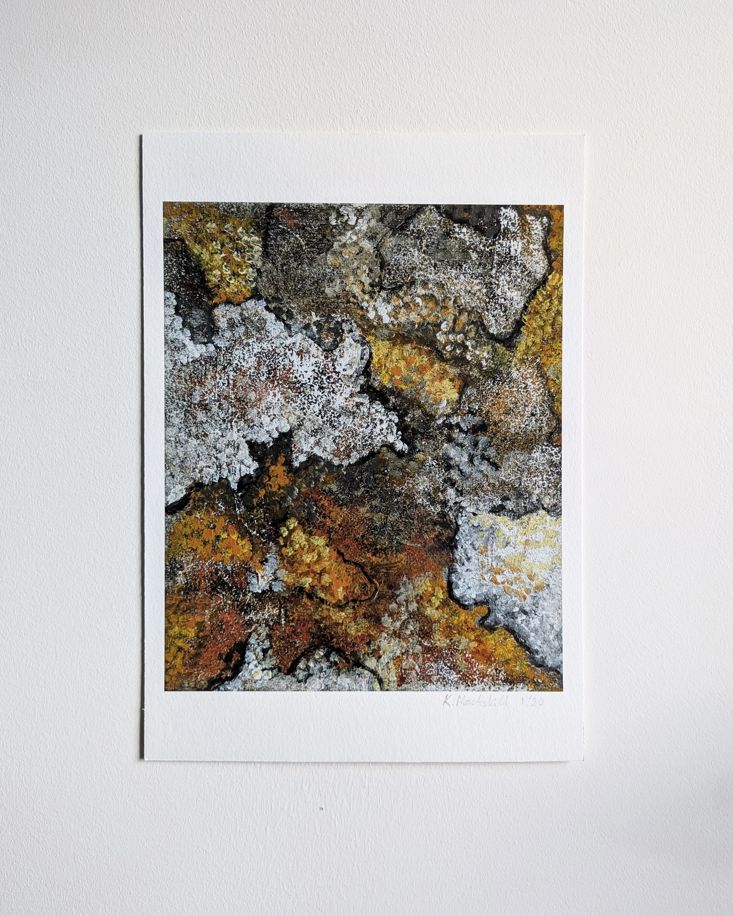 Lichen Print