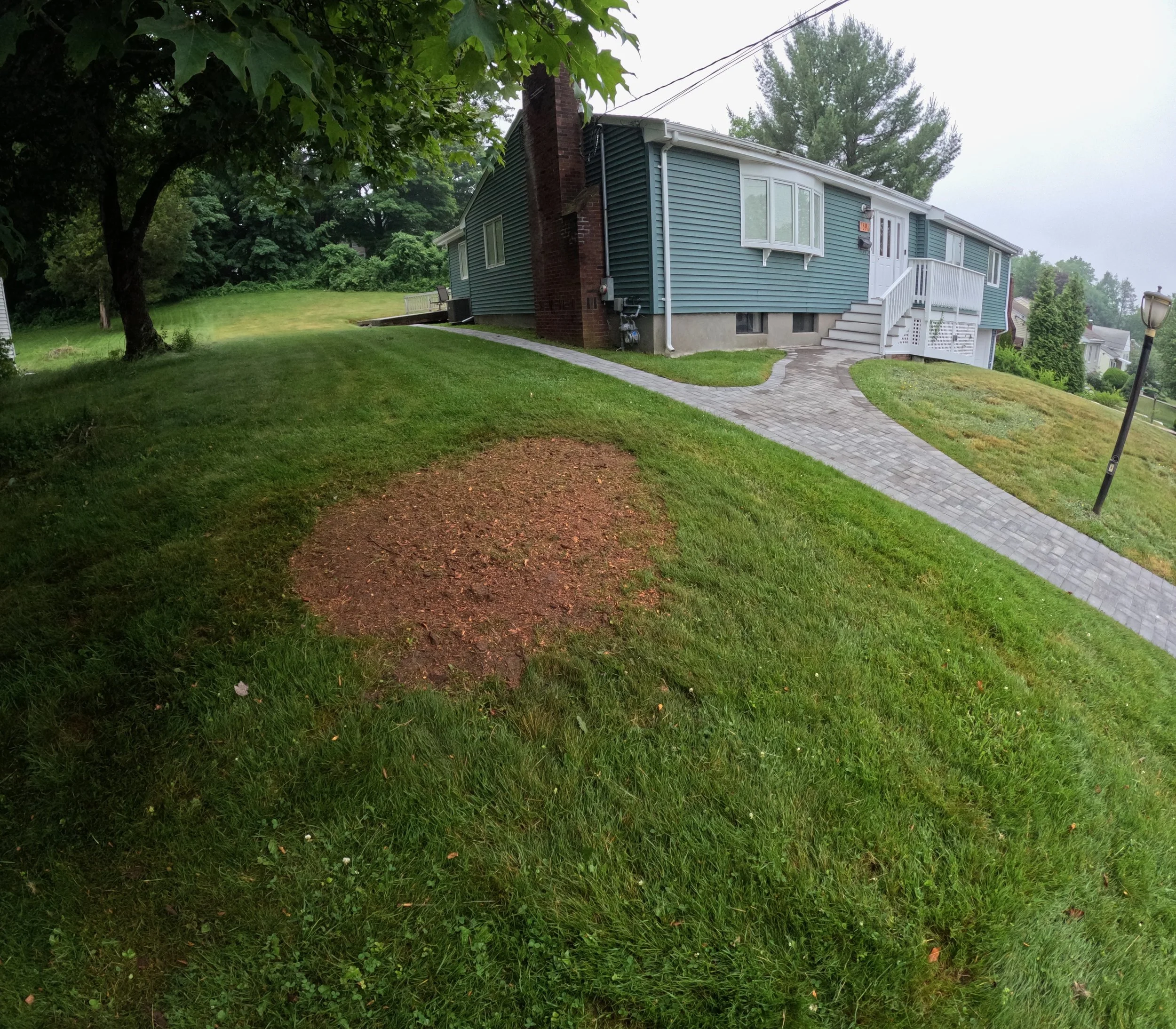 Side view of a blue house with white stairs, gray paved walkway, black lamppost, green lawn, and trees in the background on a cloudy day
