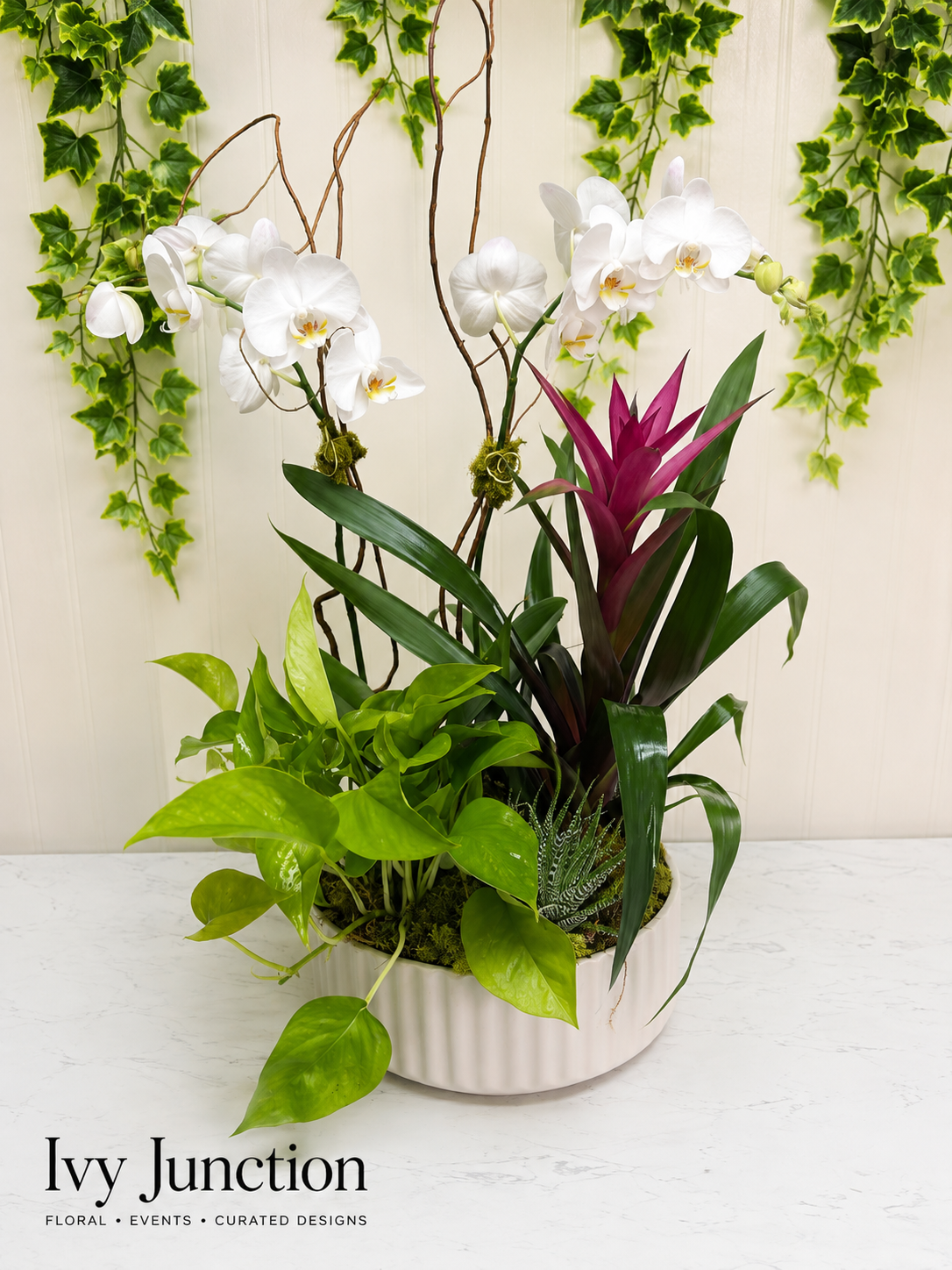 D87A655F-1CC5-4CCC-9313-79D293F7B33D.PNG