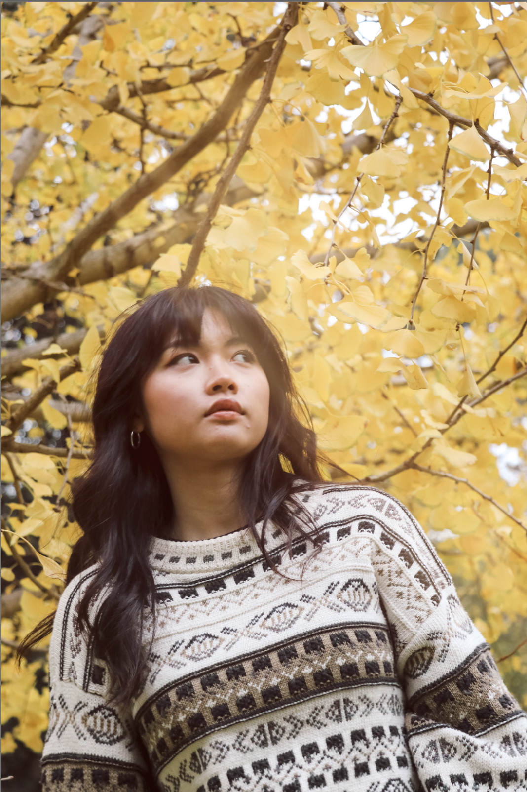 Screenshot 2025-06-09 at 11.14.48 pm.png