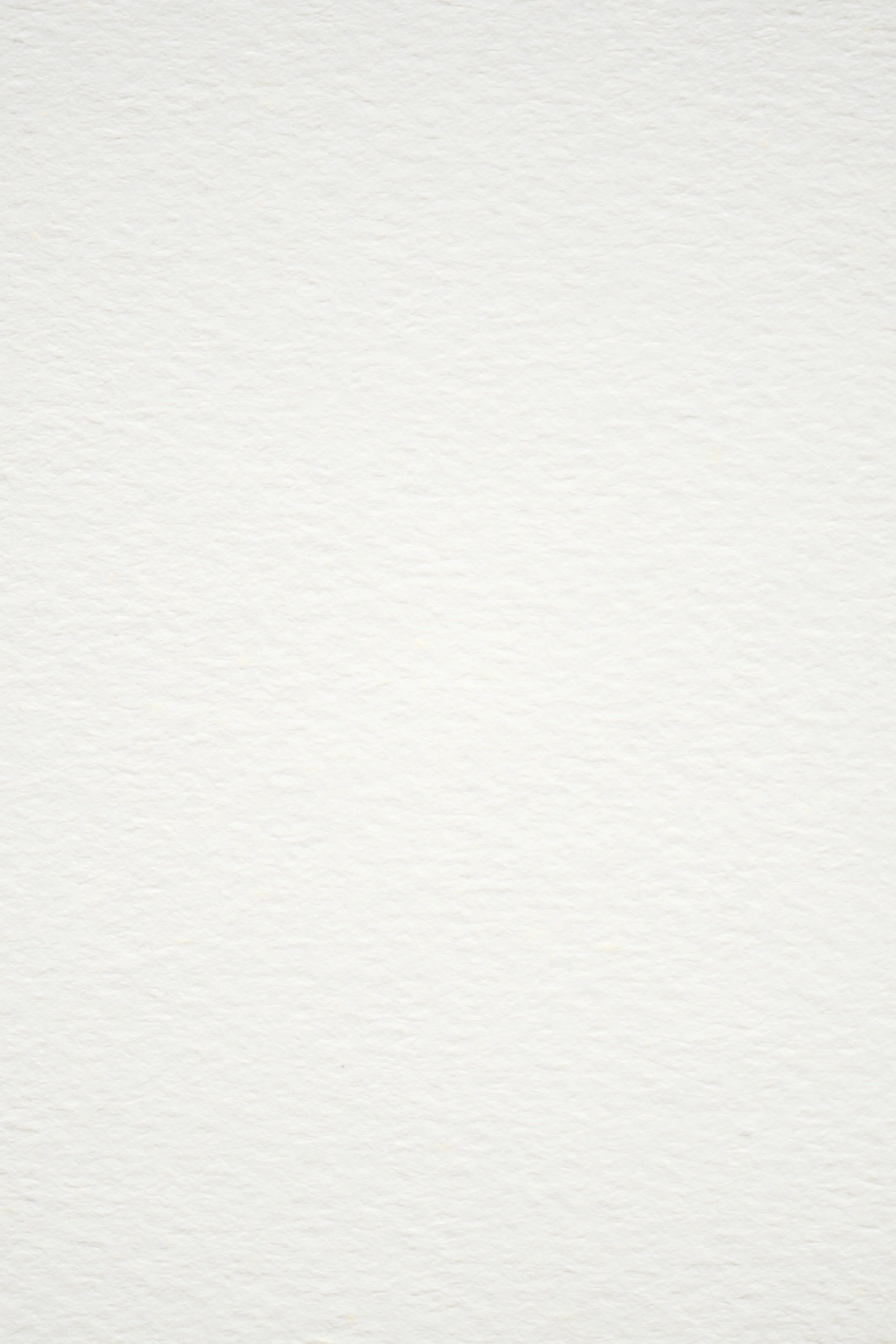 Plain white textured paper background.