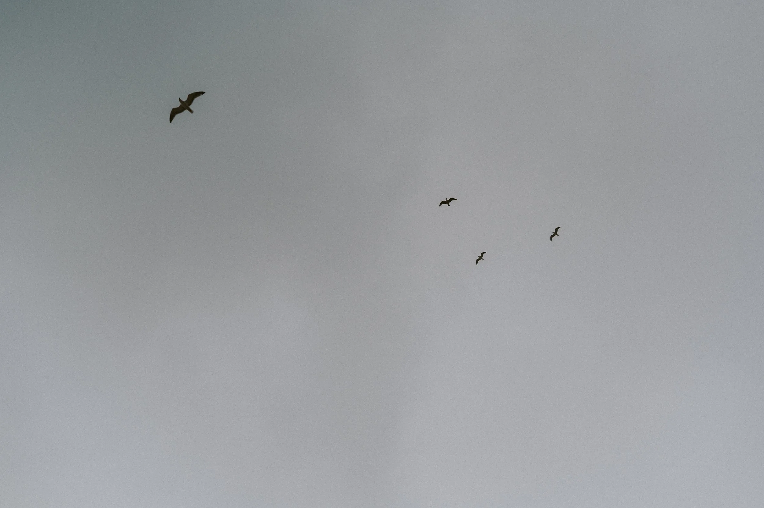 Unconventional wedding photography and Super 8 films in Europe. Germany, Italy, Switzerland, Spain, Portugal & beyond.