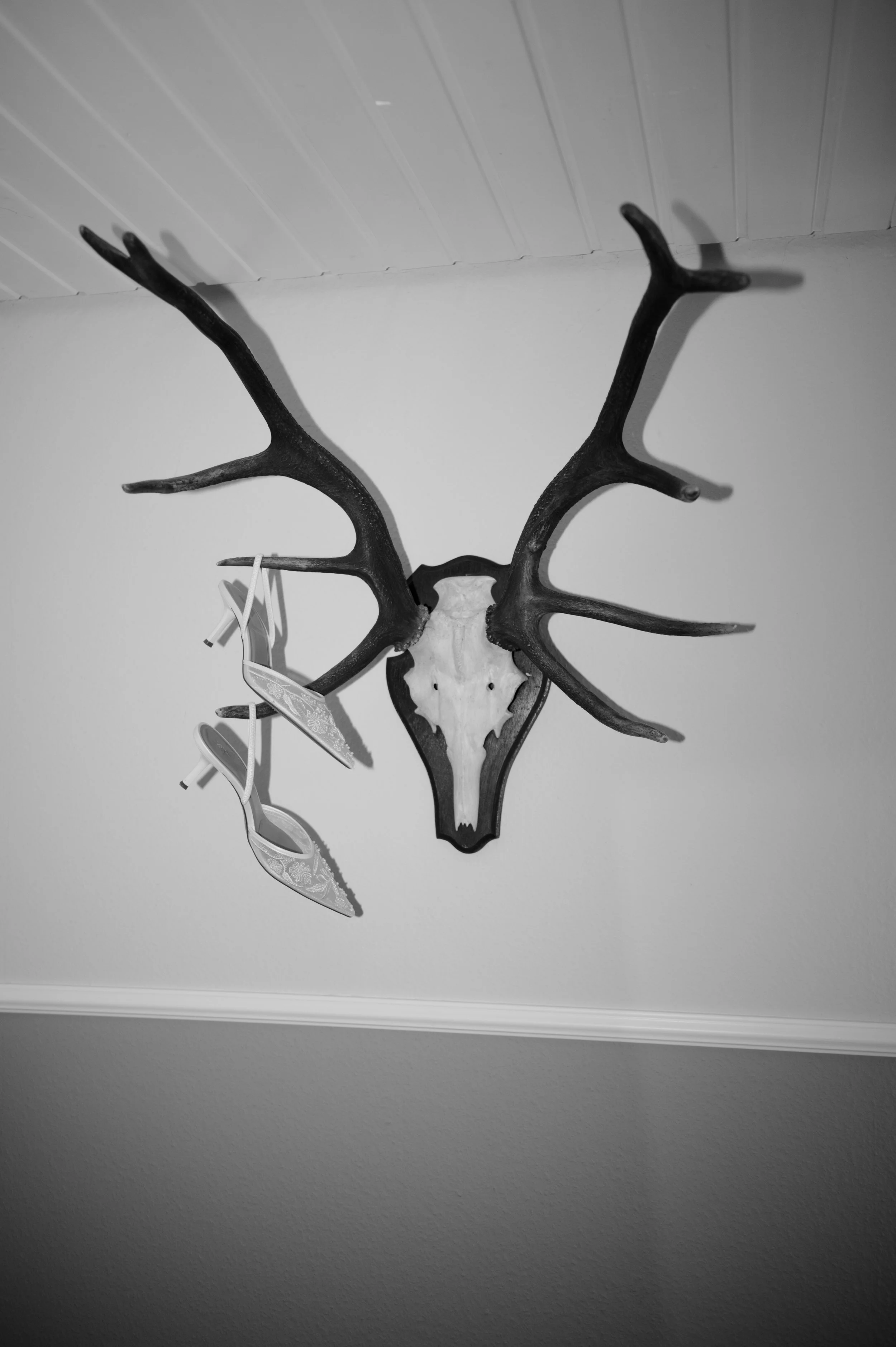 DSC_9139.jpg