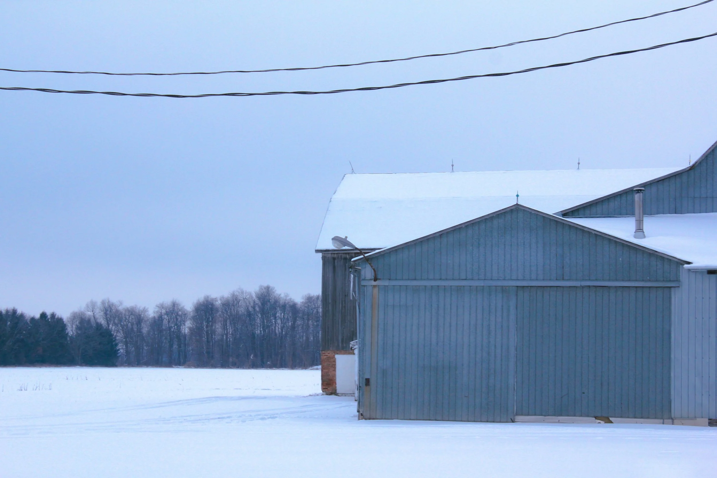 A snow-covered field with a gray barn, snowy rooftops, and a line of trees in the background, under a cloudy sky.