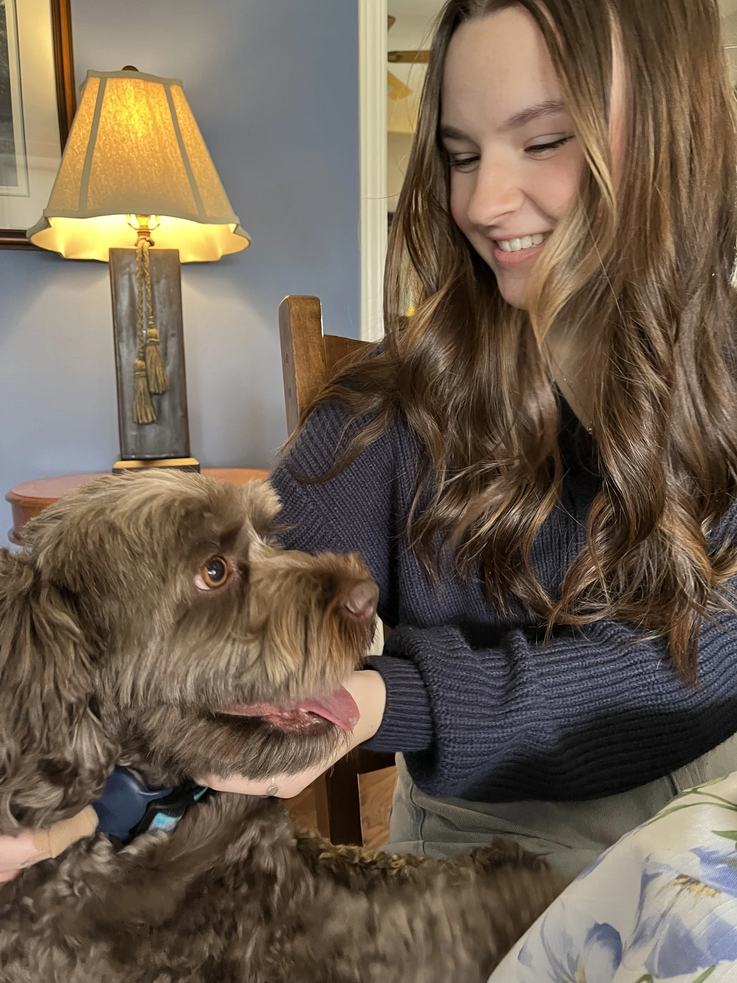 A young woman with long, wavy brown hair smiling at a small brown dog with floppy ears and a blue collar, who is looking up at her with its tongue out inside a home with warm lighting.