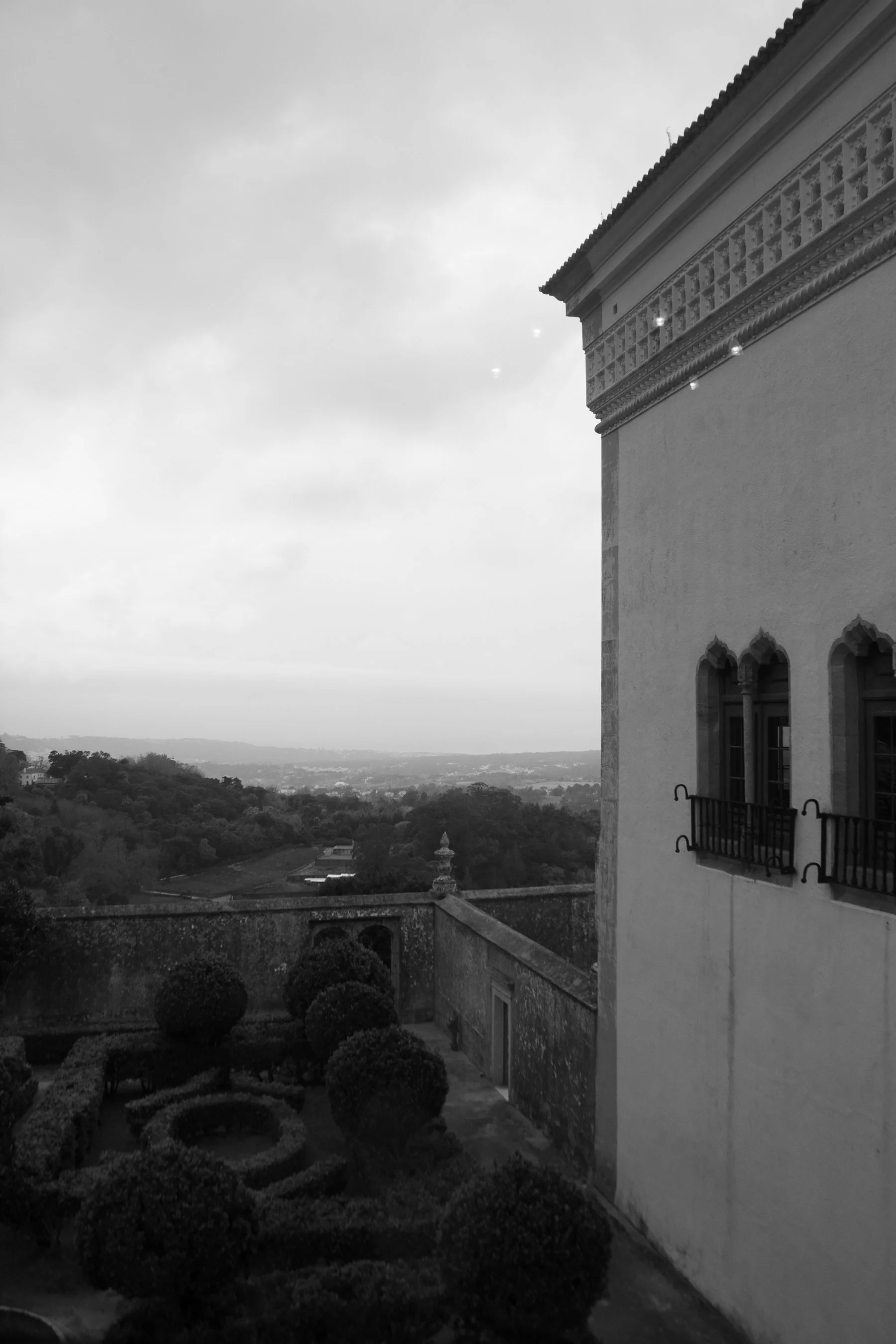 IMG_8913.jpg