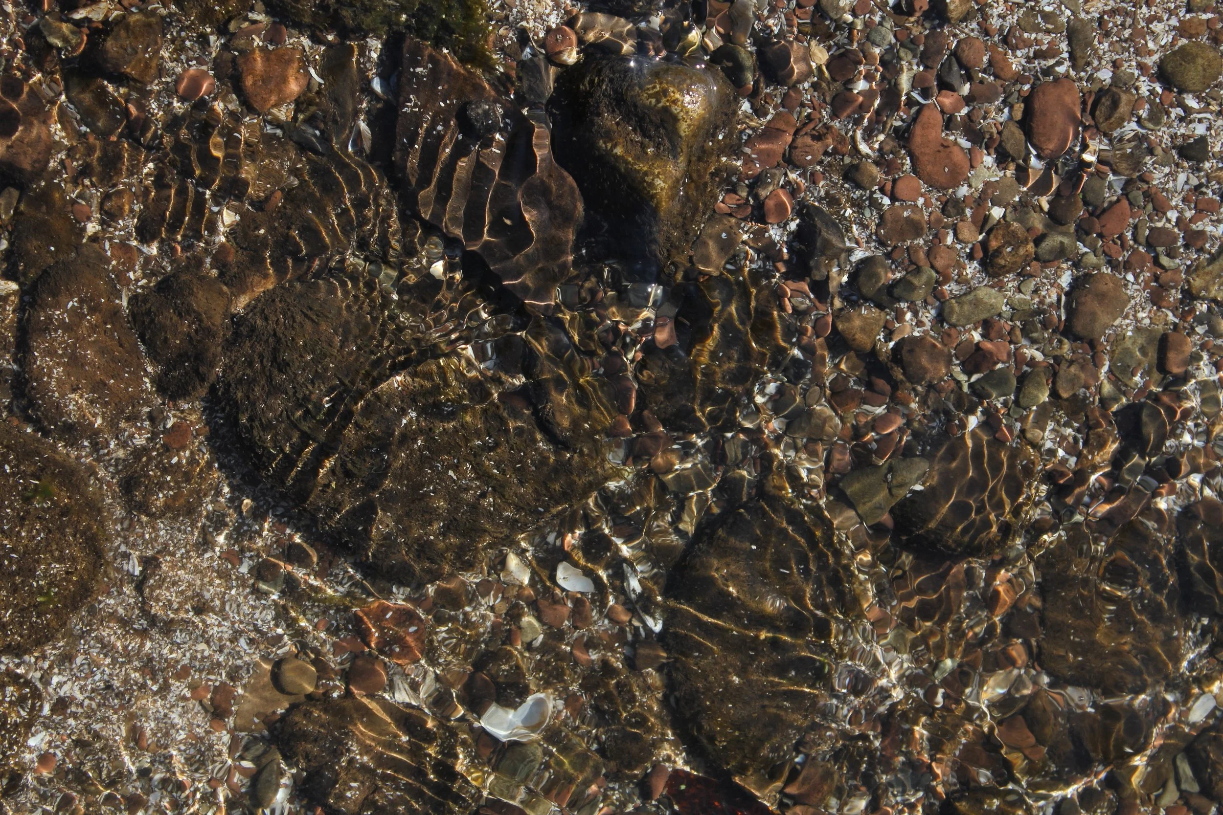 Close-up view of rocks and pebbles in shallow water at the shoreline.