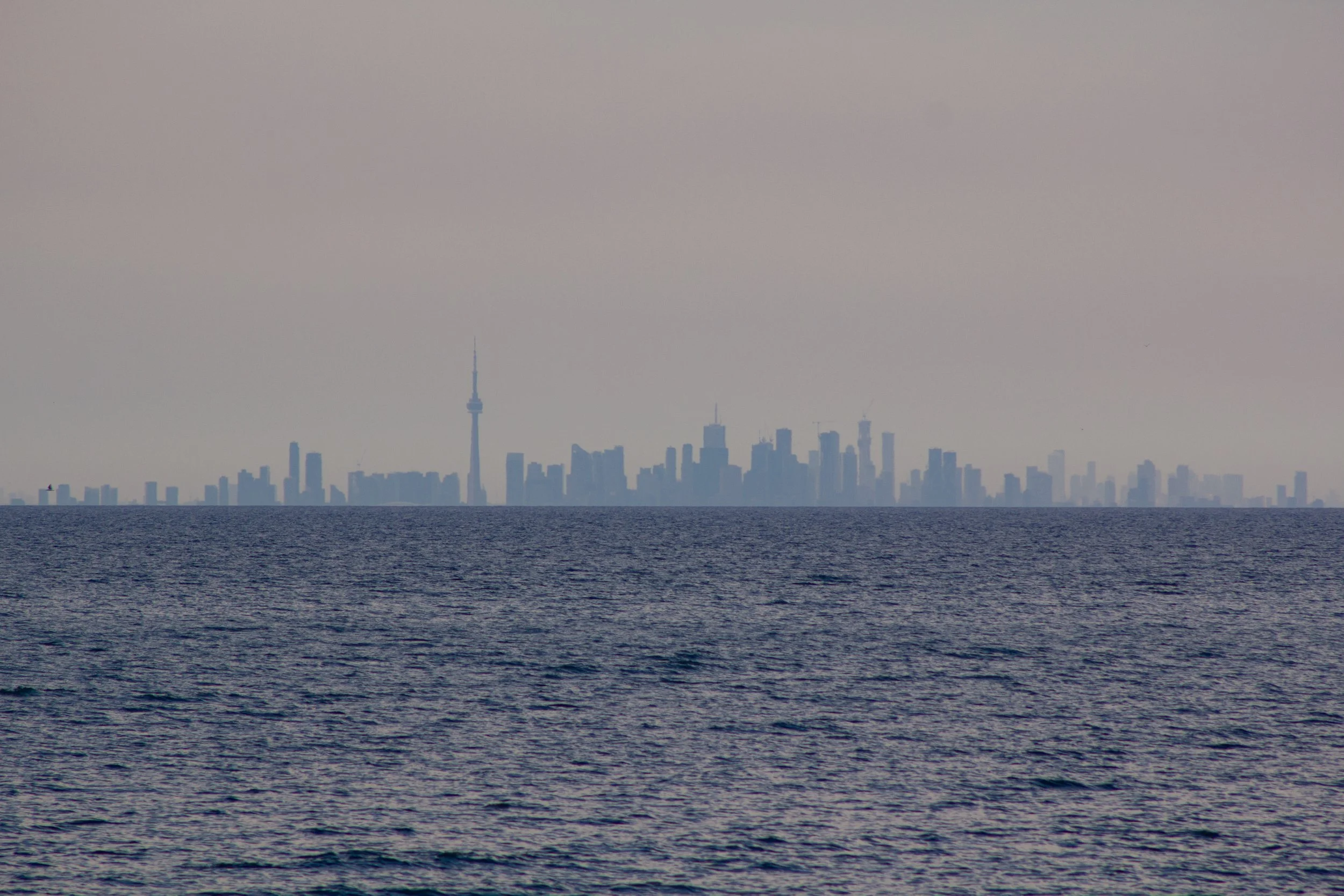 City skyline with tall buildings and a tower visible in the distance over a body of water, under a hazy sky.