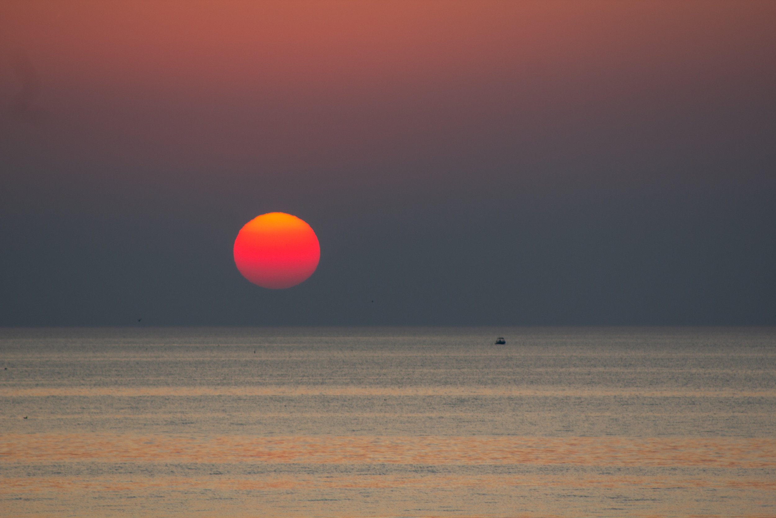 A photo of the sun setting over the ocean with a pink and orange sky and a small boat in the distance.