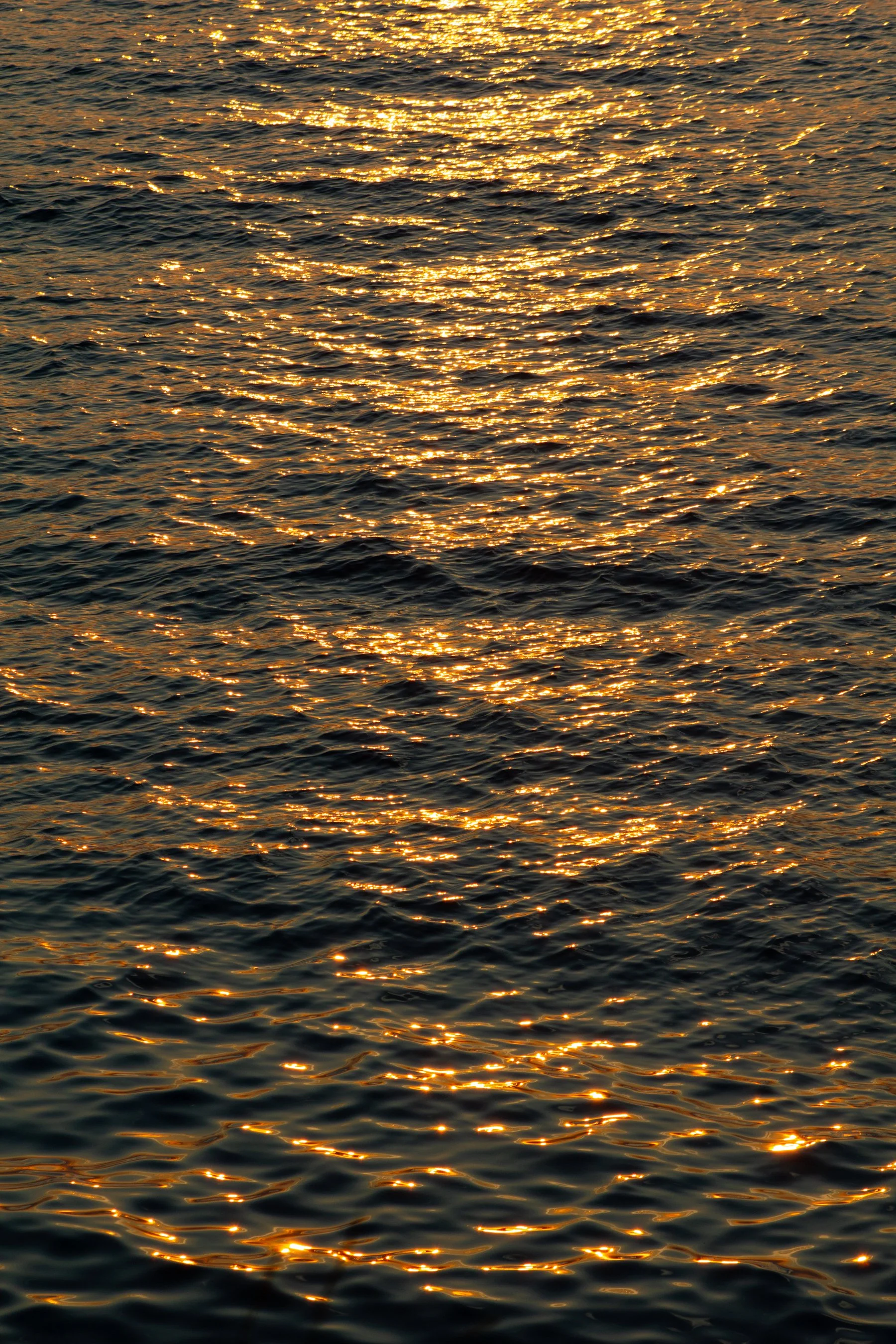 Golden sunlight reflecting on the surface of the ocean during sunset or sunrise.
