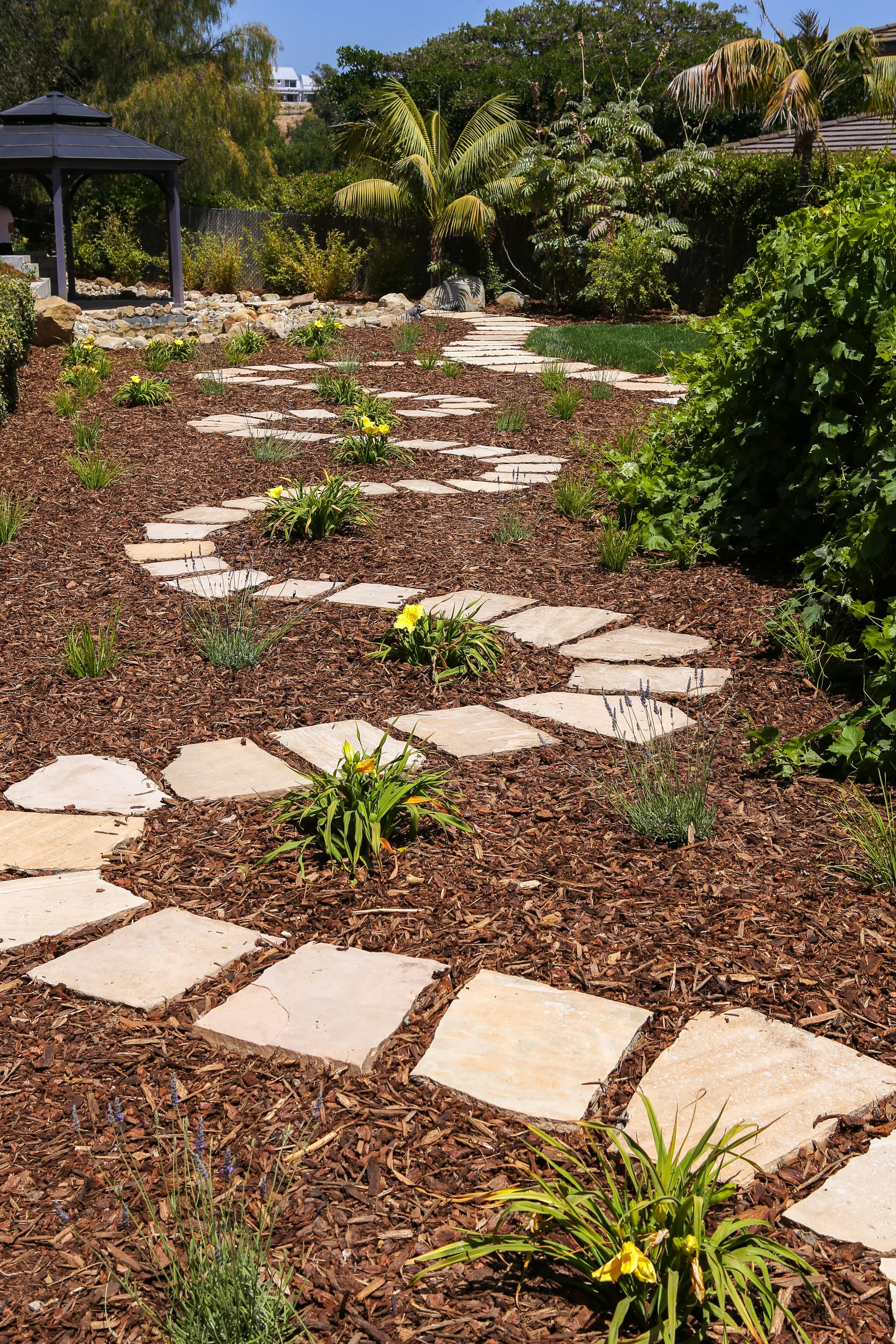 SHARMA - PHOTO - 0711.jpg