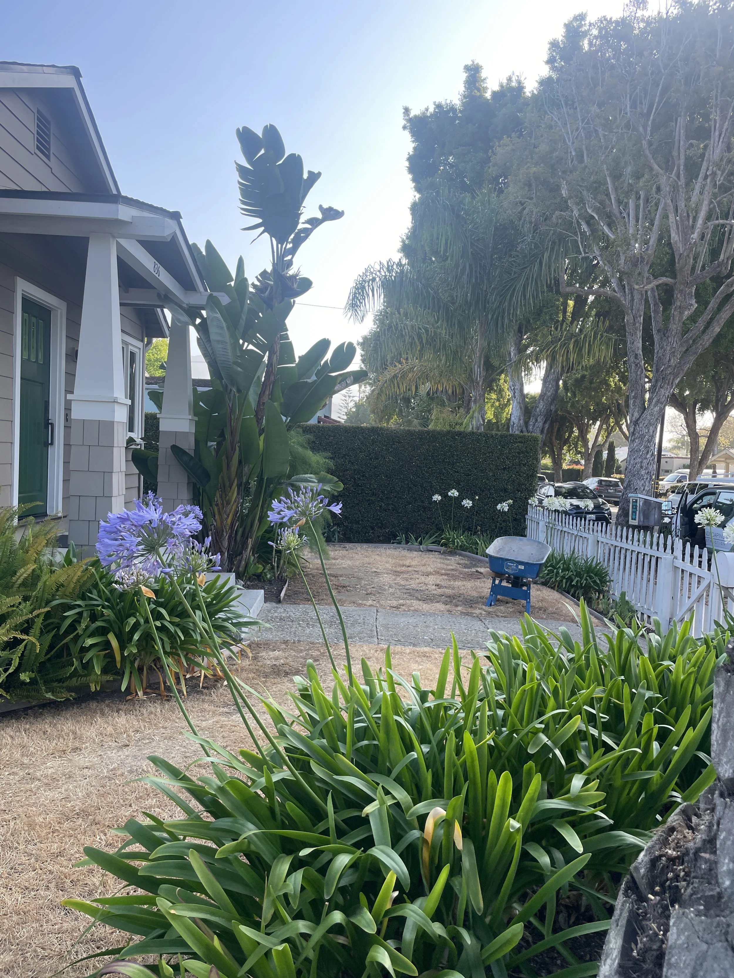 Photo Jun 23 2025, 7 51 53 AM.jpg