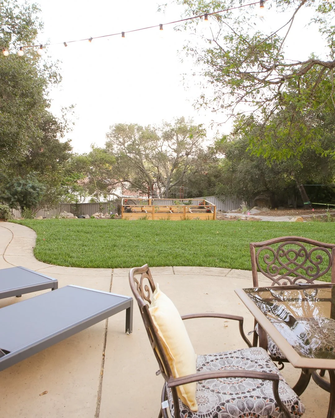 THARKAN - PHOTO - 0335.jpg