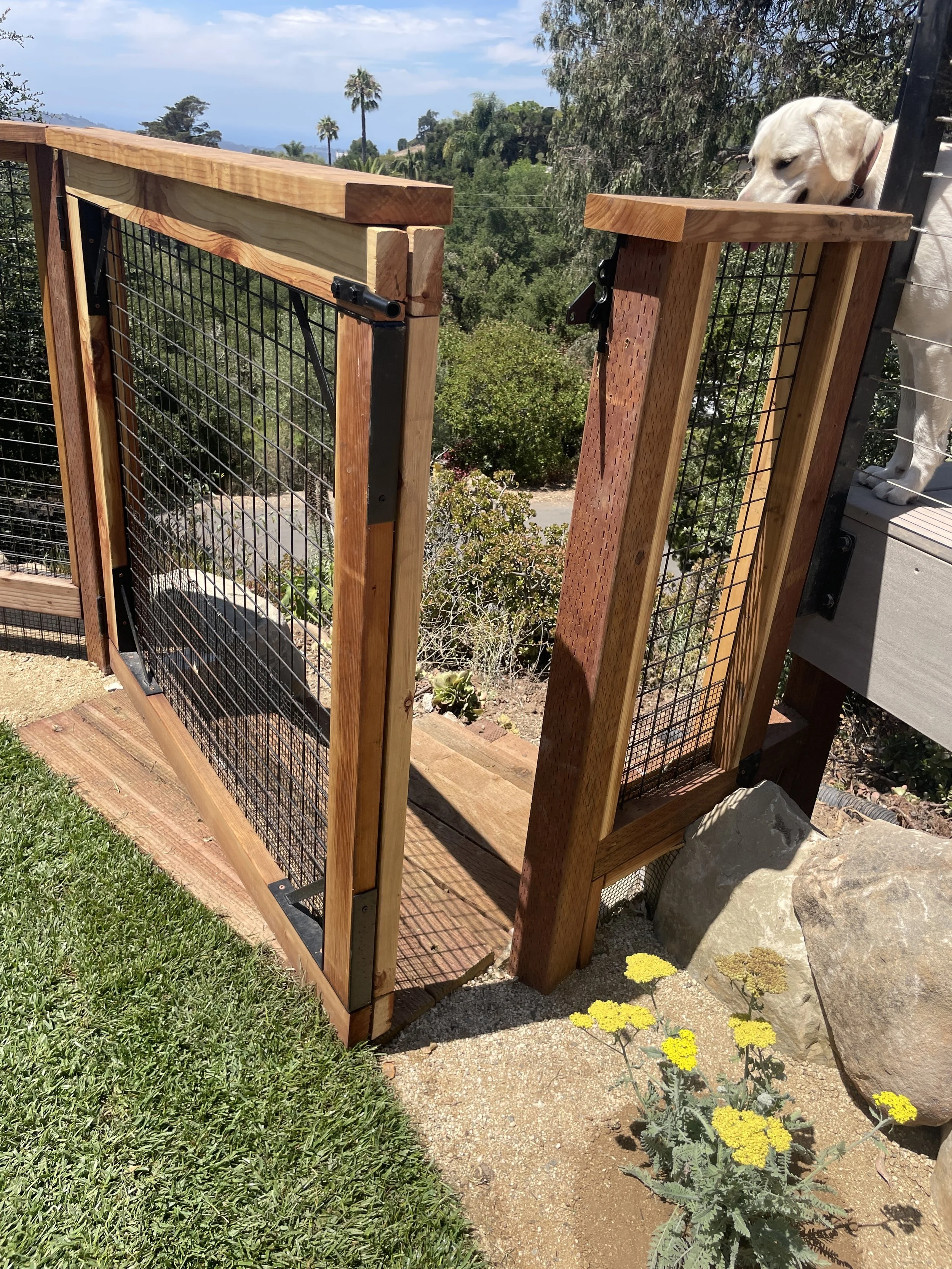 Photo Aug 06 2025, 12 09 29 PM.jpg