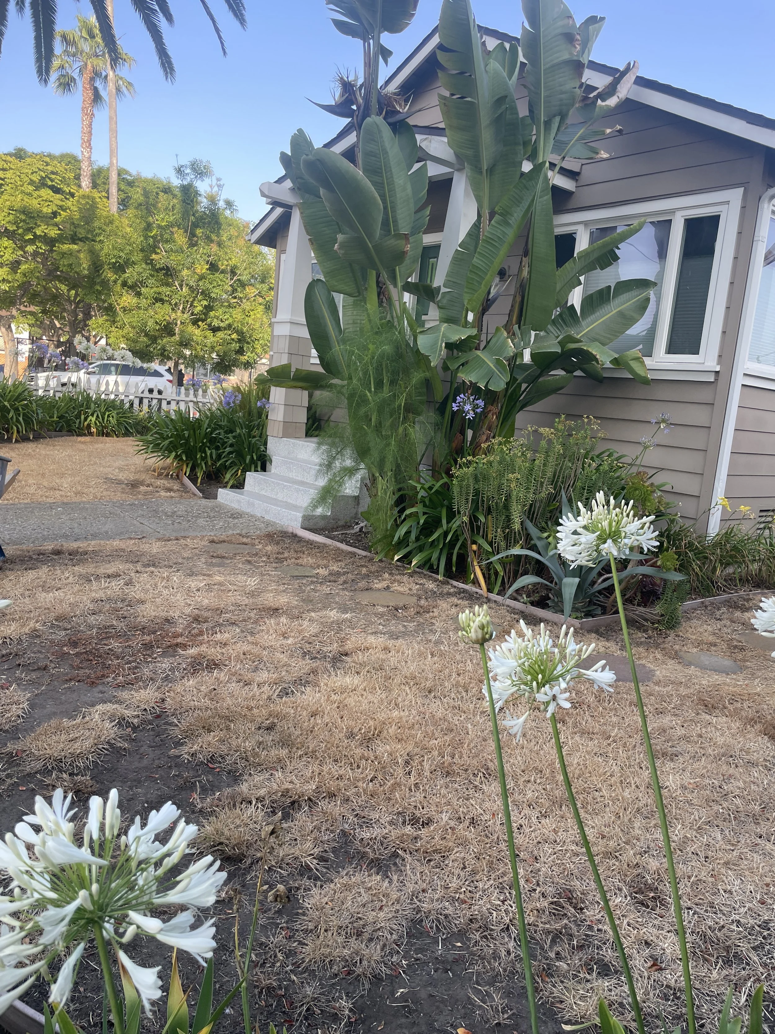 Photo Jun 23 2025, 7 51 33 AM.jpg