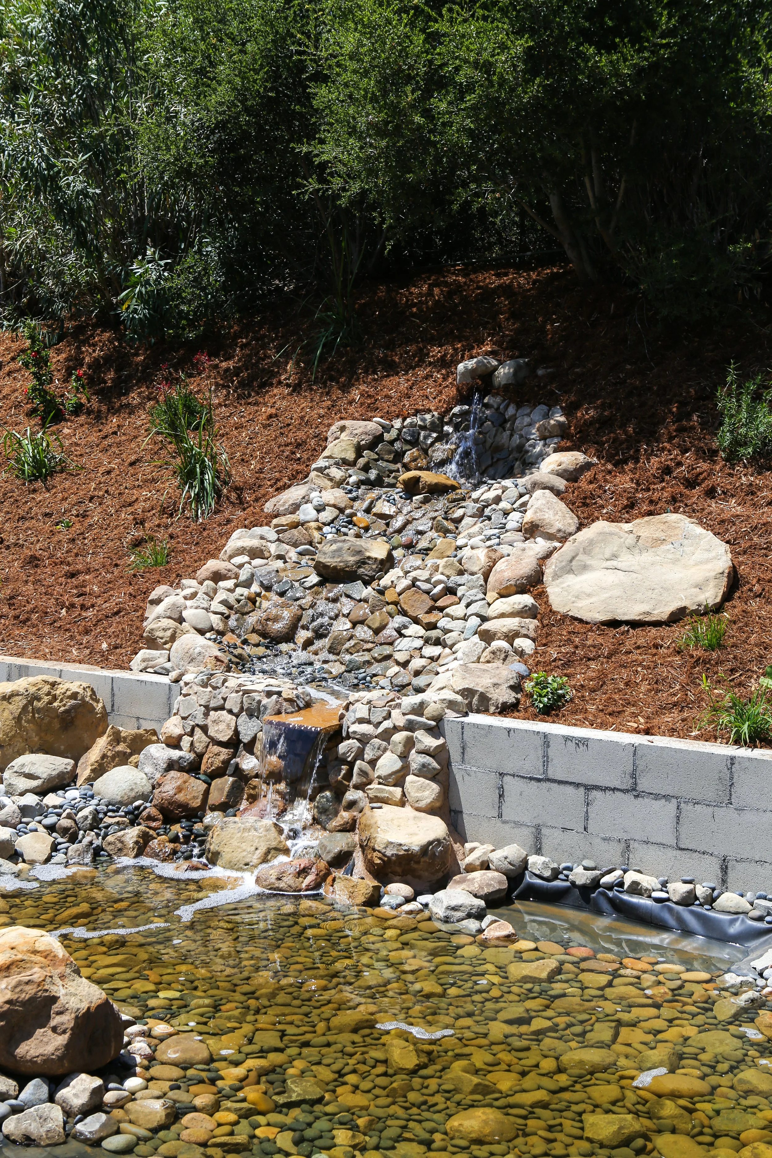 SHARMA - PHOTO - 0713.jpg